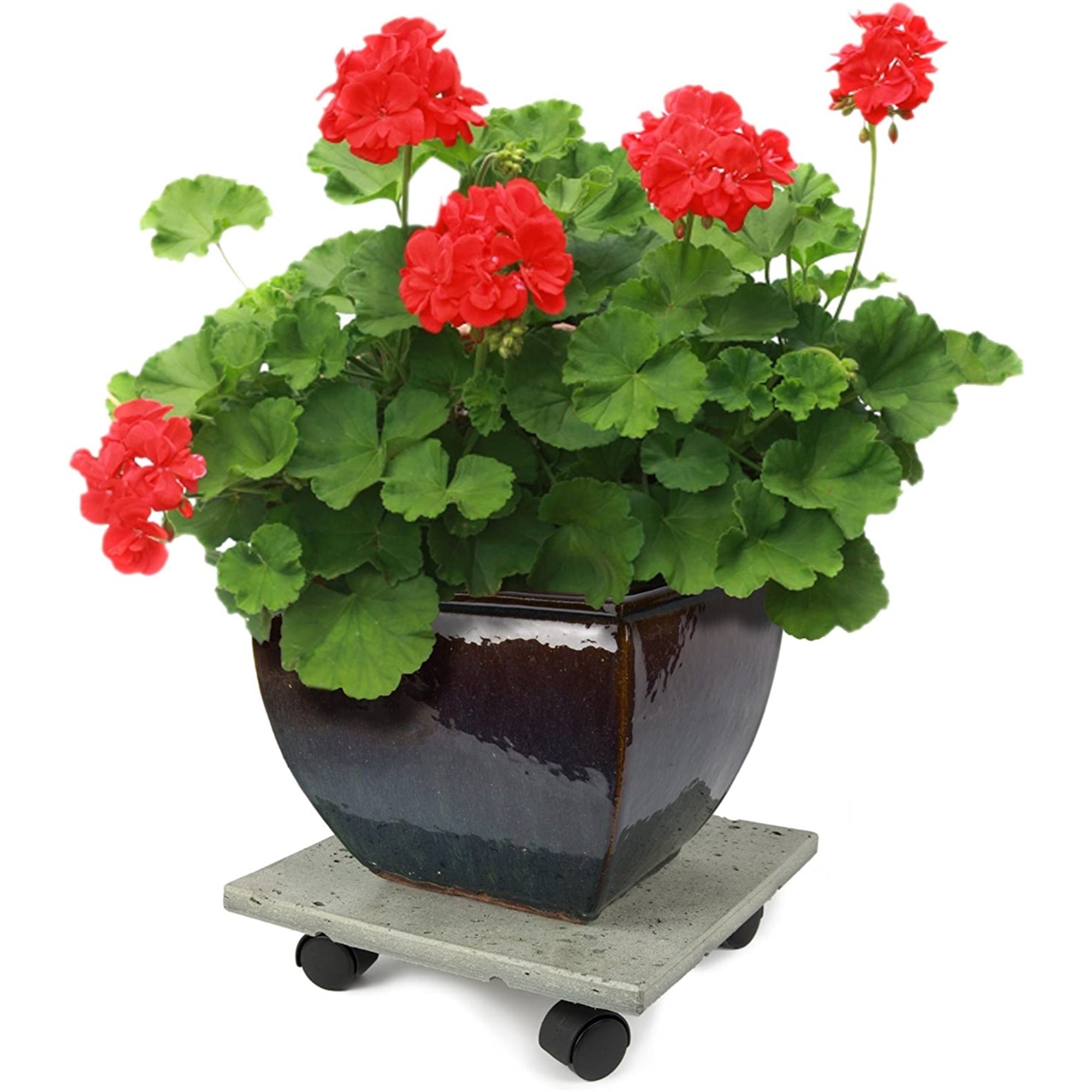 Plastec Terra Stone 12" Heavy-Duty Plant Caddy Recycled Plastic Pot Stand with Wheels– USA Made