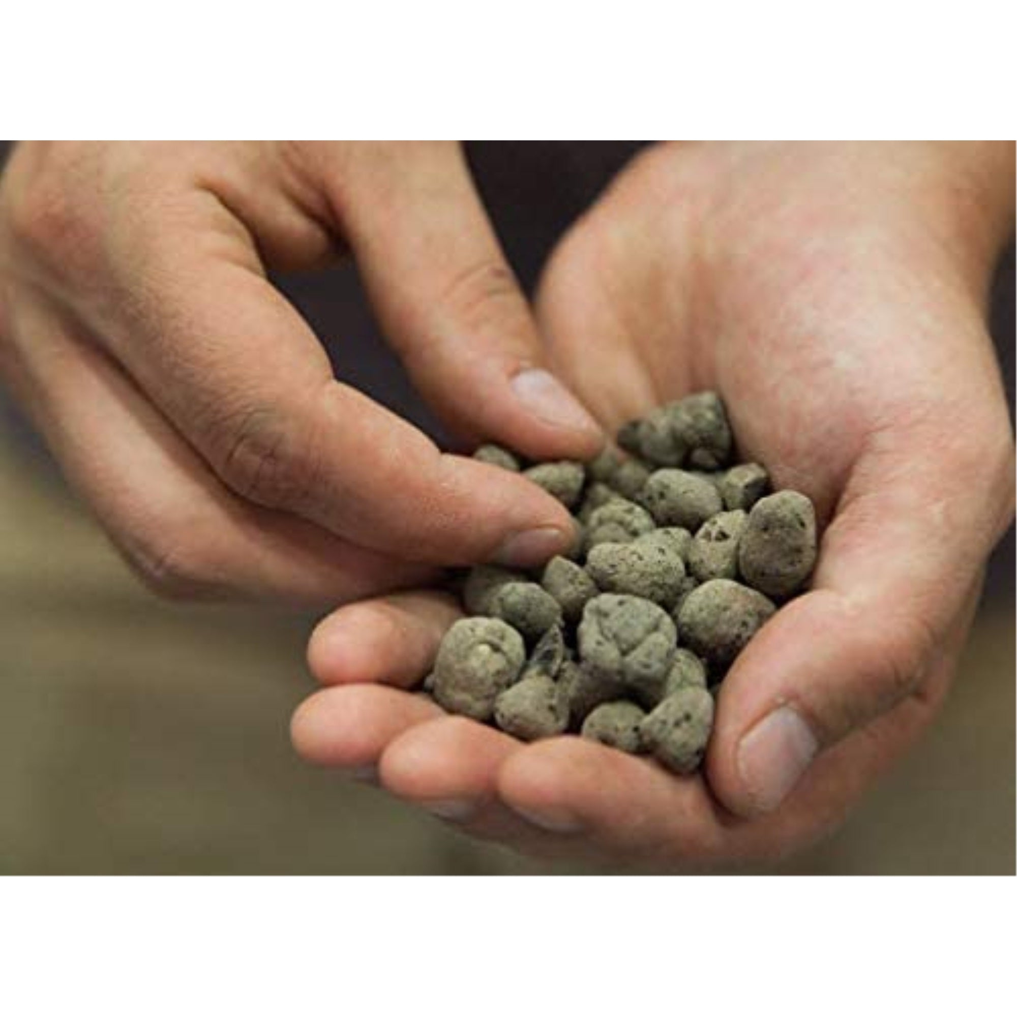 Hydrofarm GEOLITE Clay Pebble Grow Media – Natural Clay for Hydroponics, Aquaponics, and Soil Drainage – 8 to 20mm Reusable Growing Medium, 10L (0.3 CF)
