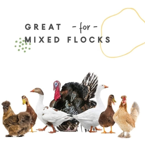 Harris Farms Free Range Galvanized Steel Double Wall Poultry Drinker, 2 Gallons