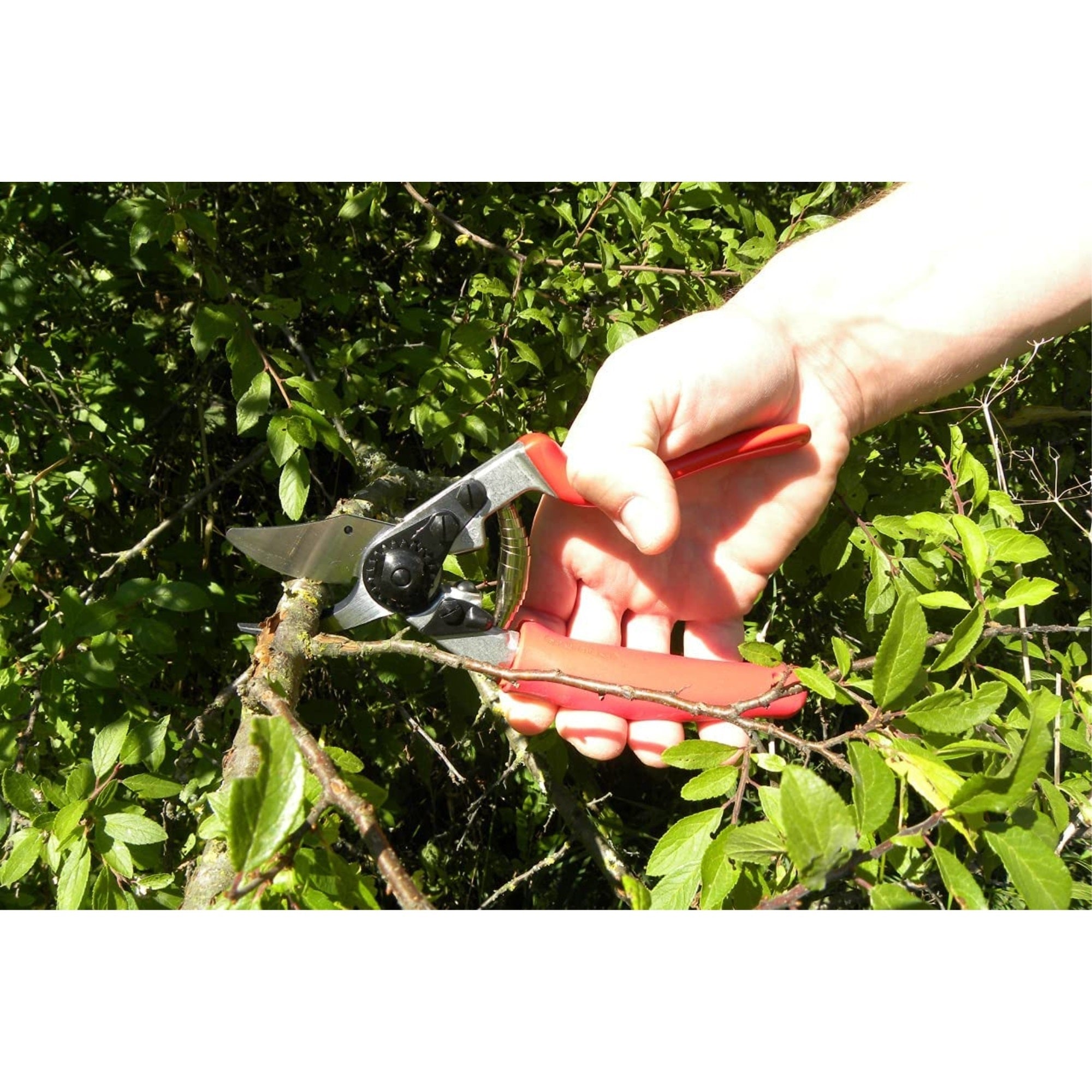 Felco F12 One-handed Ergonomic Compact Steel Blade Pruning Shears, 8"