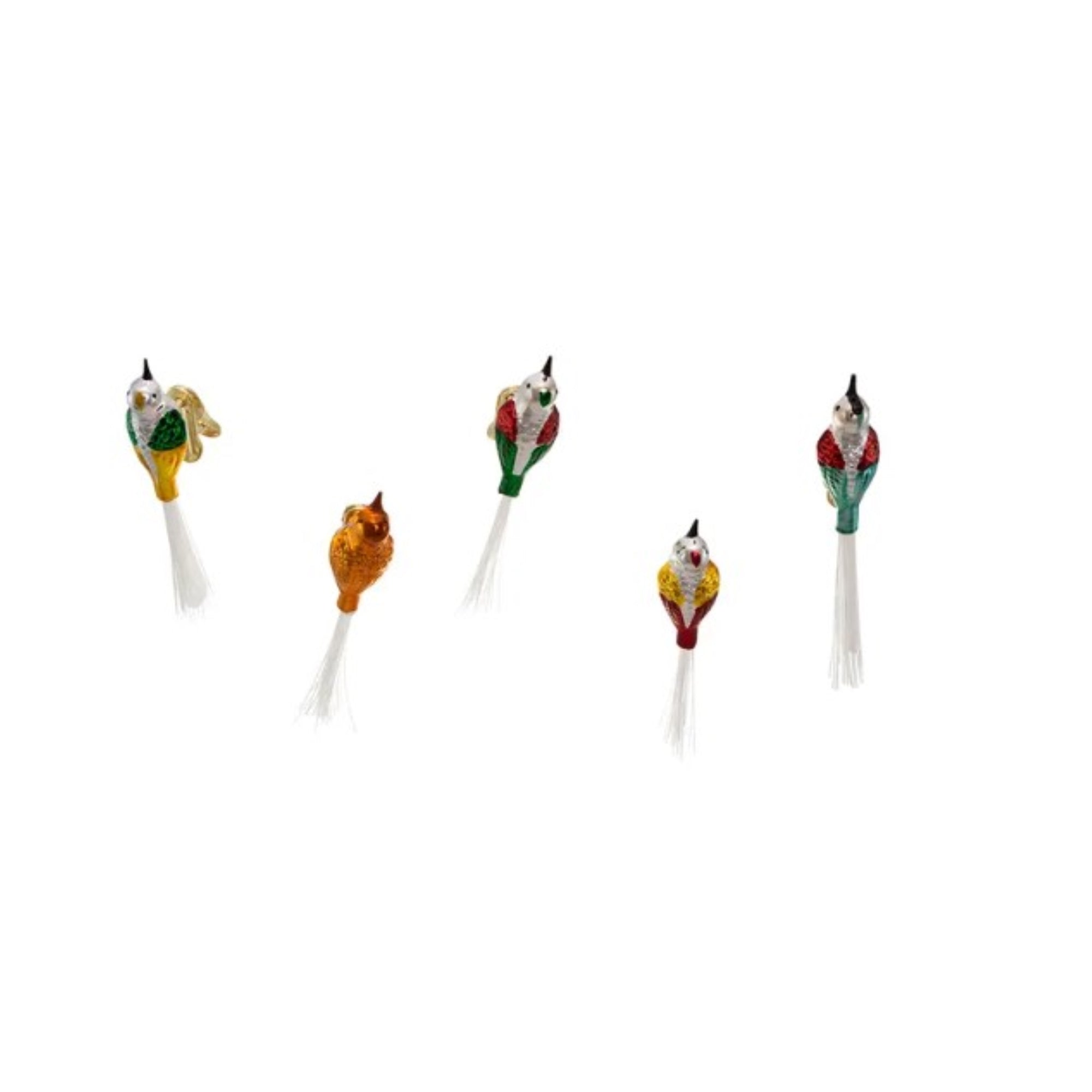 Kurt Adler Glass Clip-On Ornaments for Christmas Tree, Early Years Assorted Birds (Set of 5)