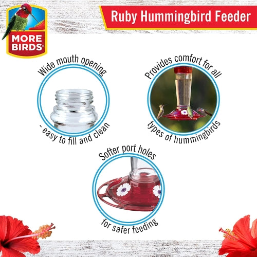 More Birds Classic Glass Ruby Hummingbird Feeder — Built-In Ant Moat, 4 Ports — 10 oz
