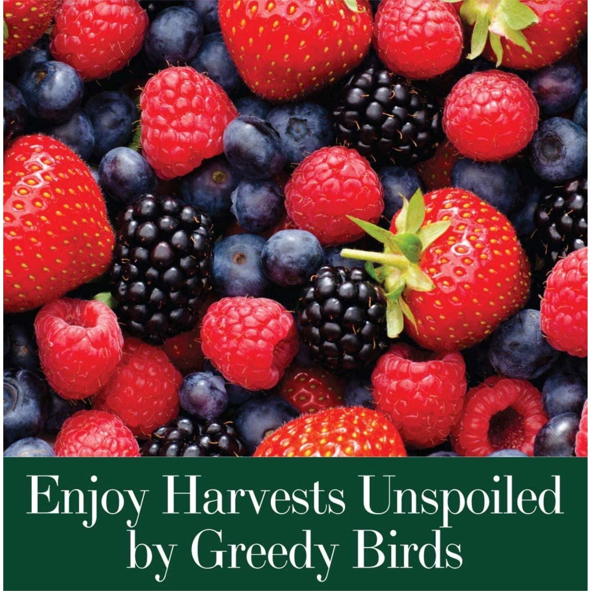 Dalen Bird-X Protective Mesh Netting, 14’ x 45’ - Fruit Trees and Berry Bushes