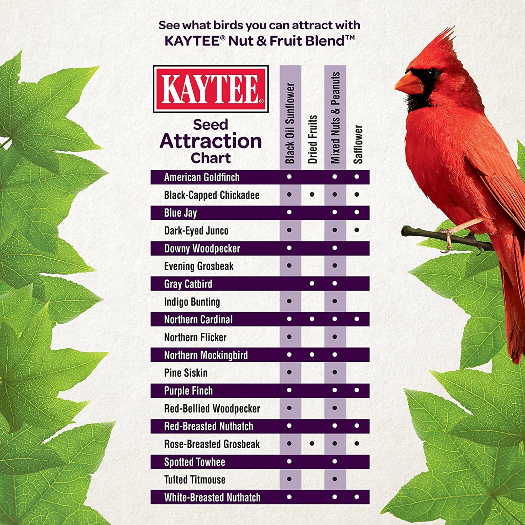Kaytee Nut & Fruit Blend Wild Bird Food, 5lbs