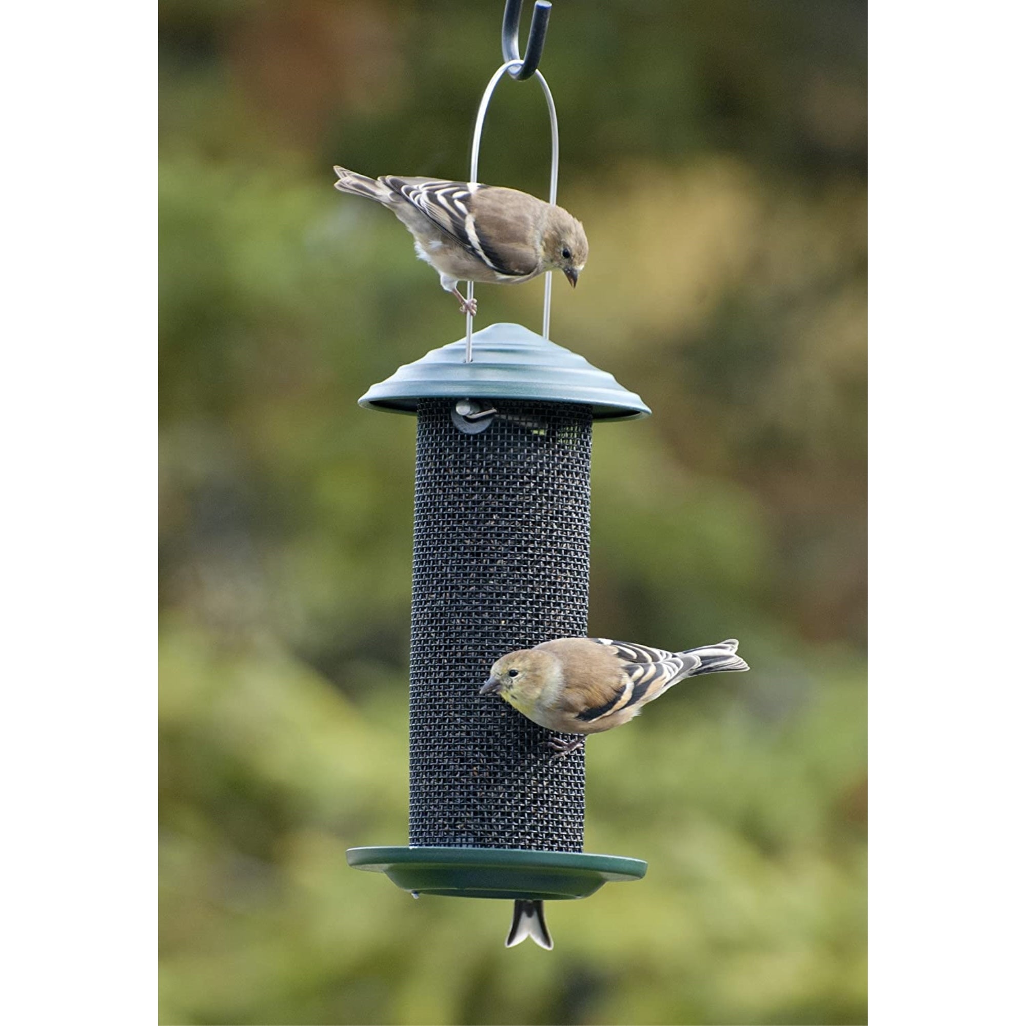 Woodlink Metal Mini Magnum Screen Bird Feeder for Thistle Seeds