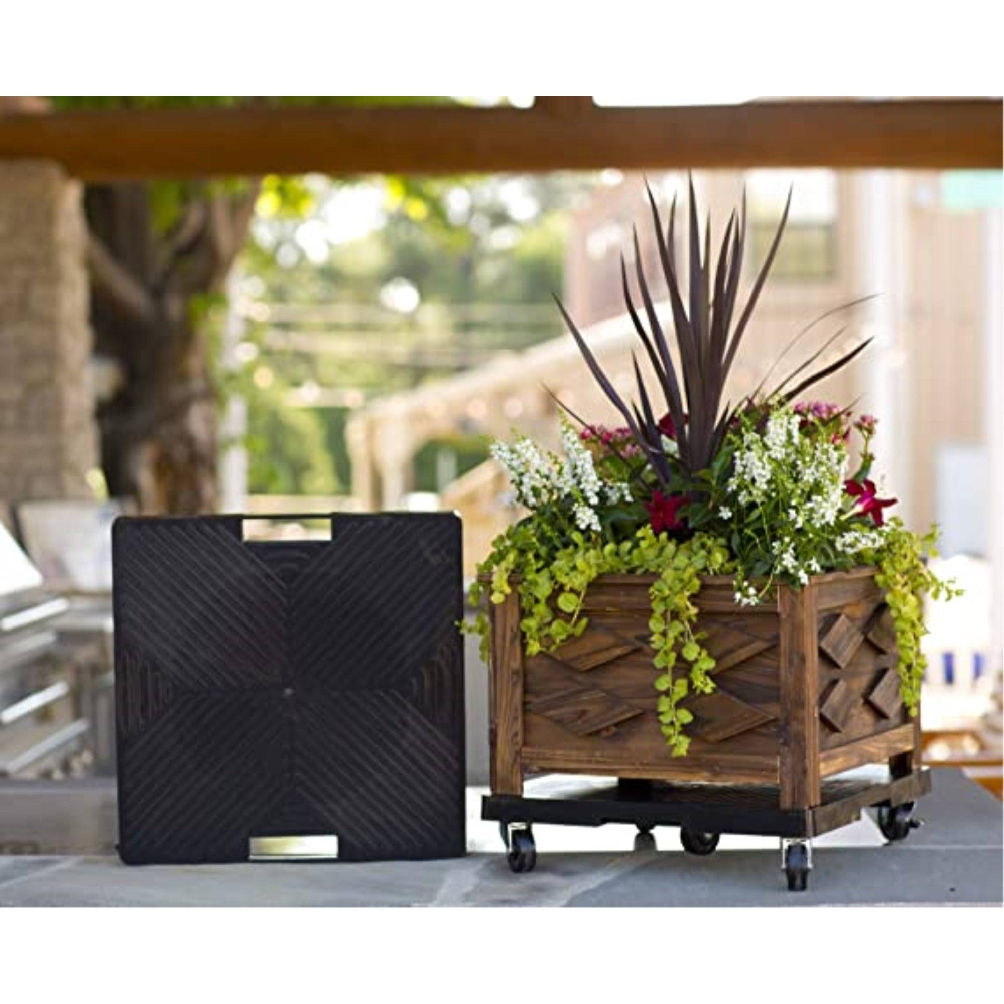 DeVault 5-Wheeled Plant Caddy Rolling Planter Dolly with Handles – USA Made, Black, 16”
