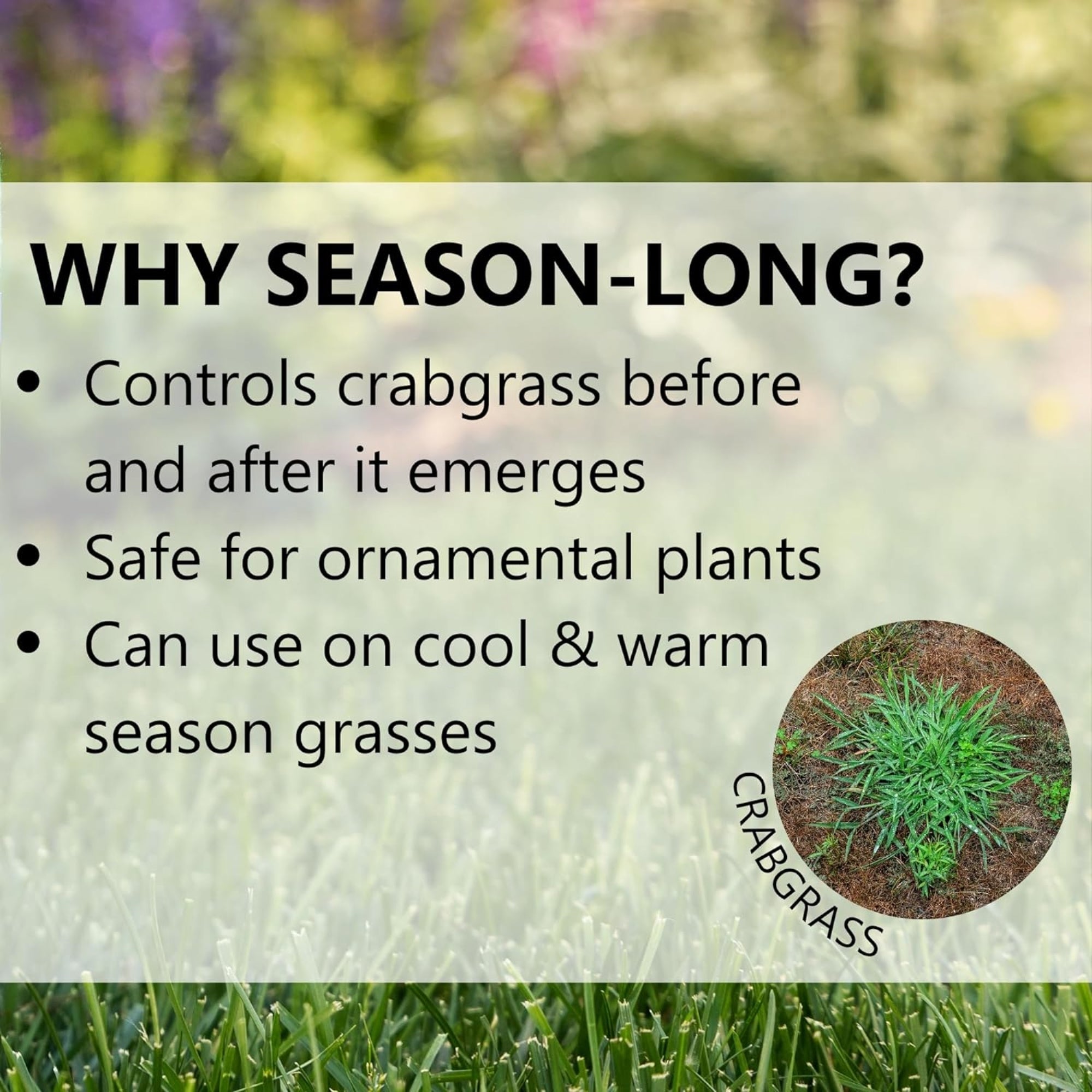 Jonathan Green Season-Long Weed Preventer for Lawns & Landscapes
