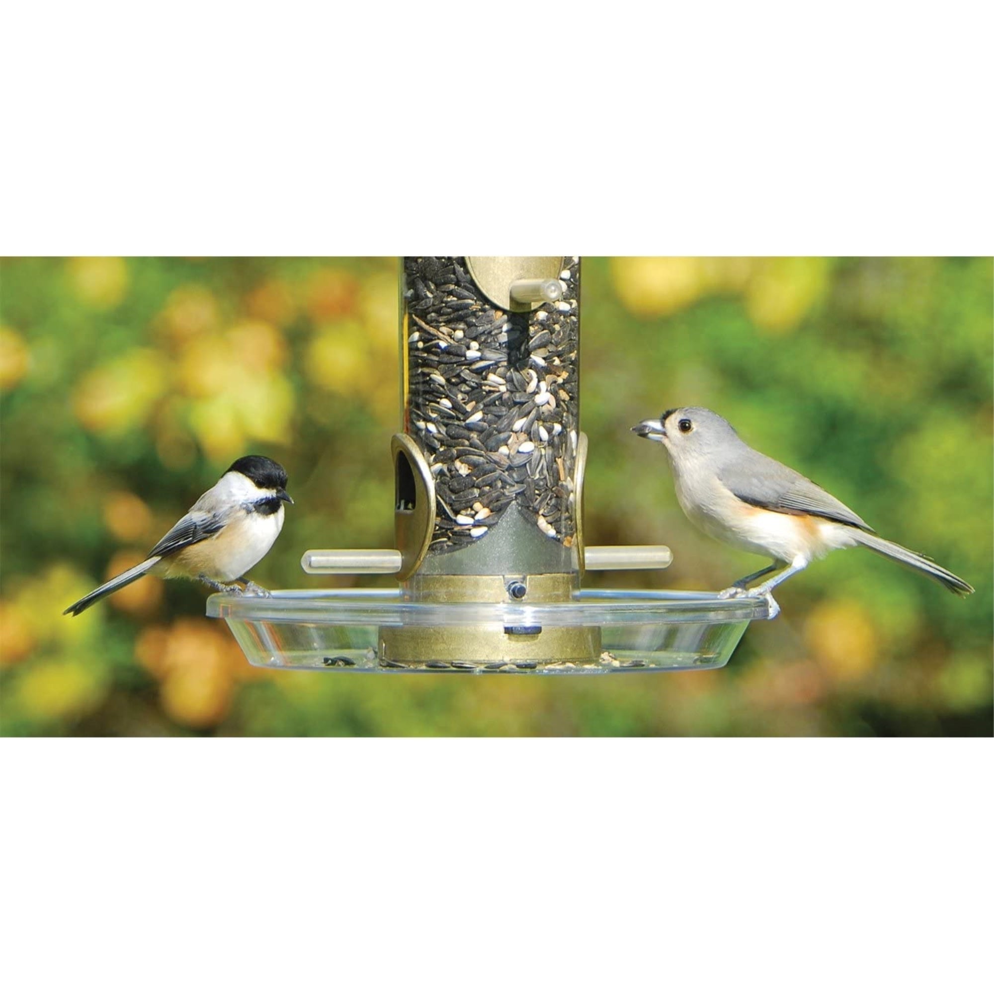 Aspects Round Plastic Seed Tray for Bird Feeders, Clear, 8.5in Diameter