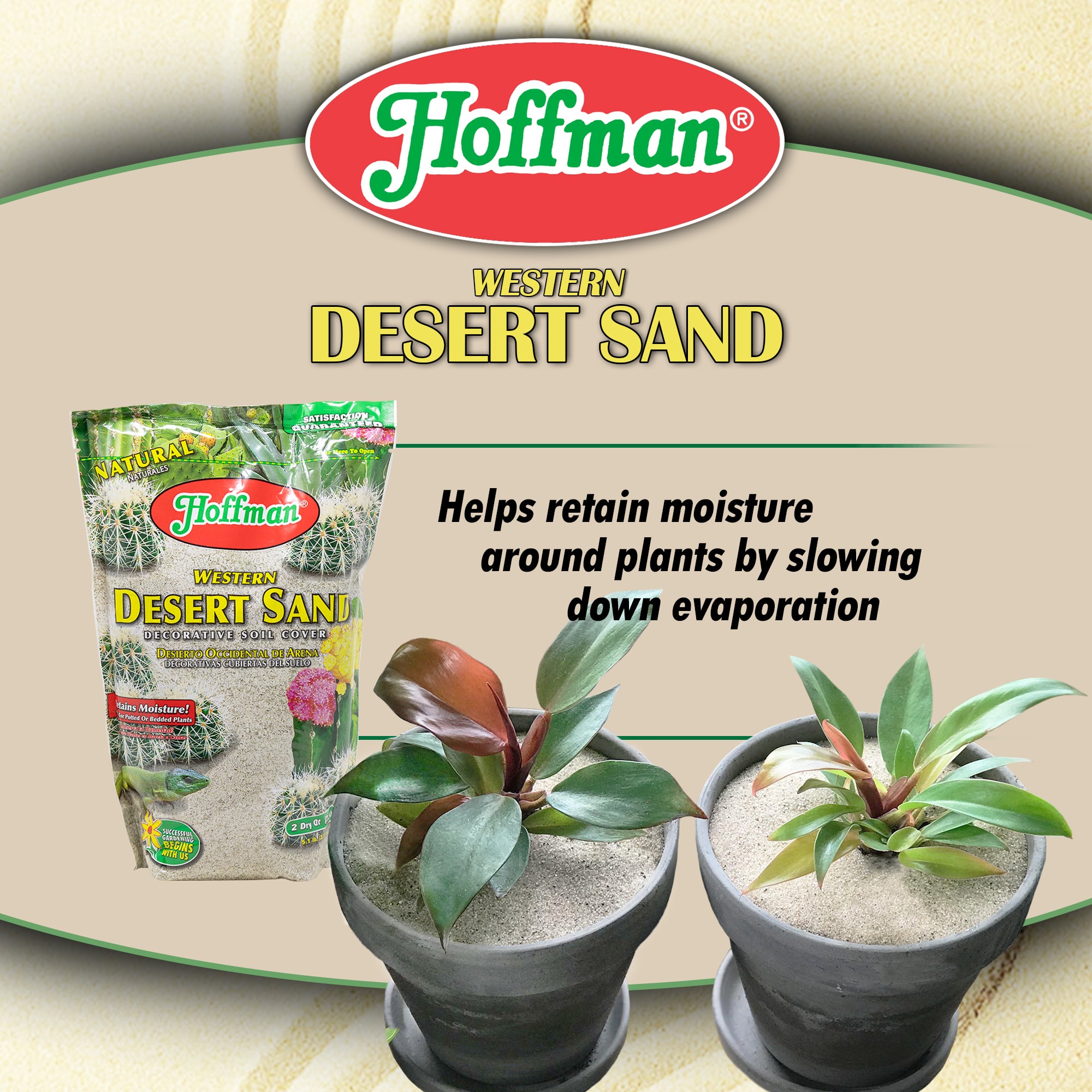 Hoffman Western Desert Sand Decorative Soil Cover for Potted or Bedded Plants, 2 Dry Quarts