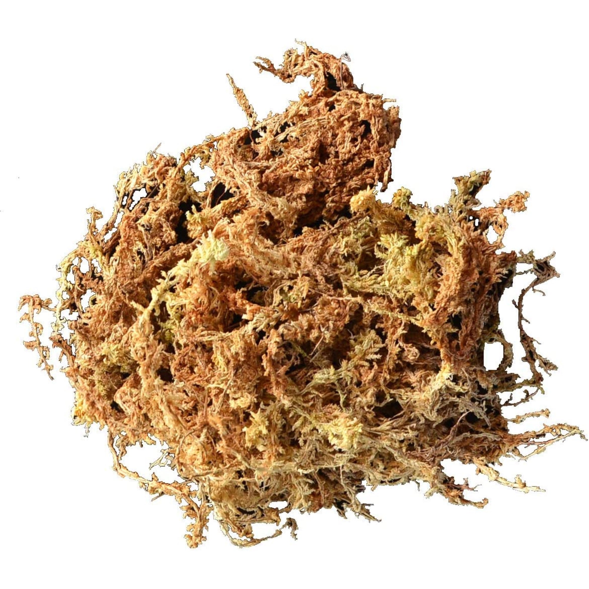 Mosser Lee Long Fibered Sphagnum Moss for Gardening and Decorating, 432 cu in