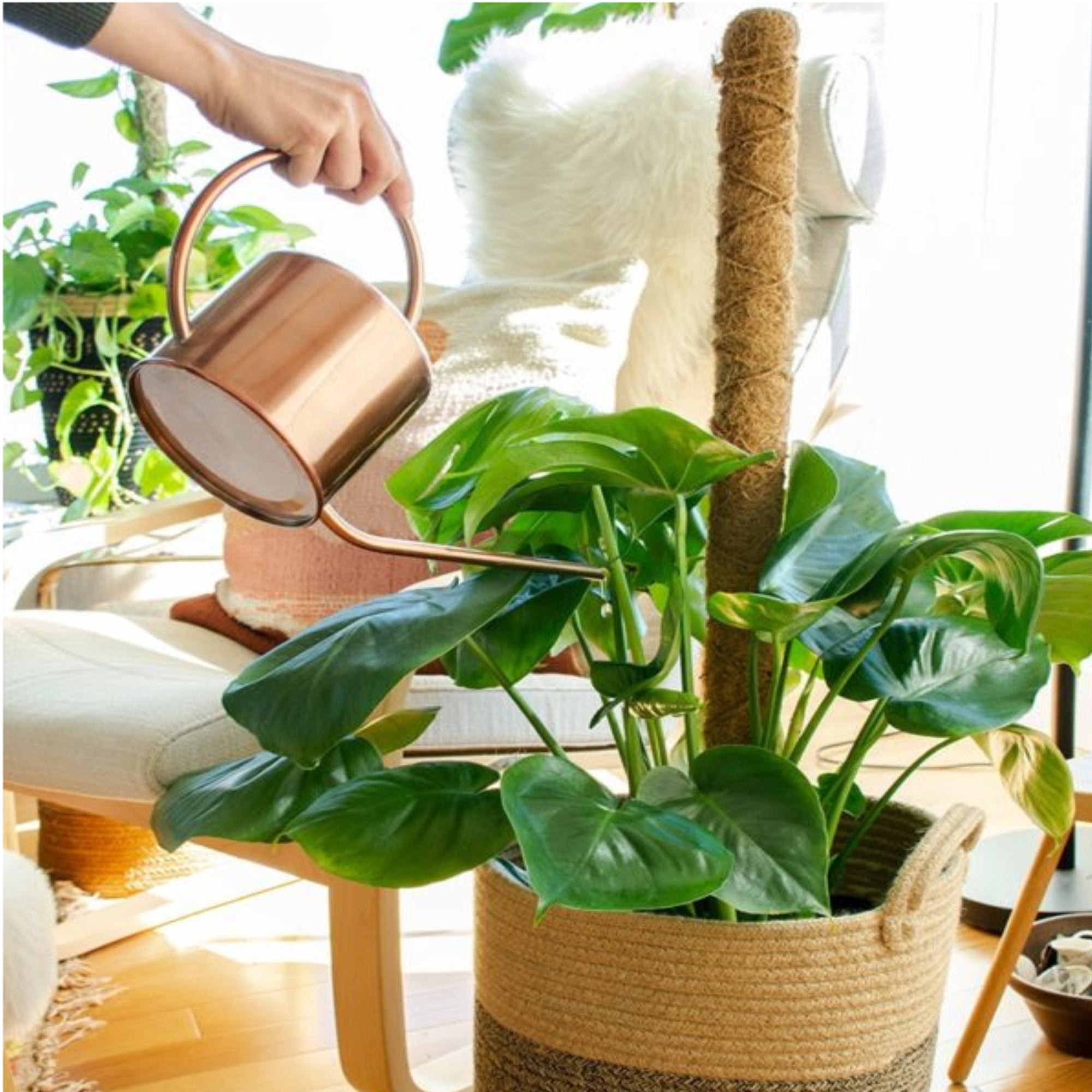 SuperMoss Stackable SuperPole with Coco Fiber for Indoor Gardening, 18"