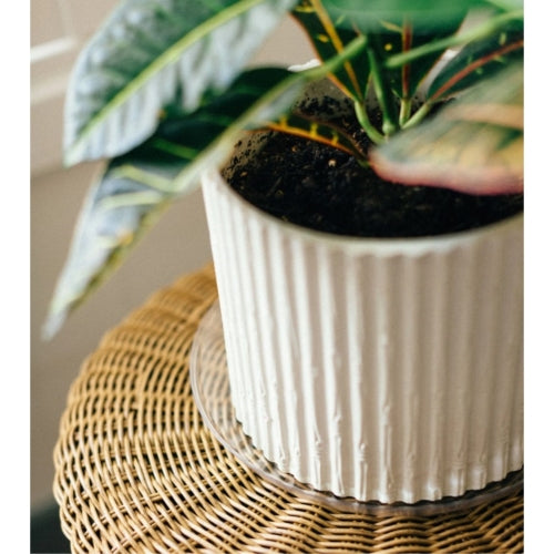 Curtis Wagner Plastics Vinyl Plant Saucer — Air-Flow Bottom Design, Clear — 16"