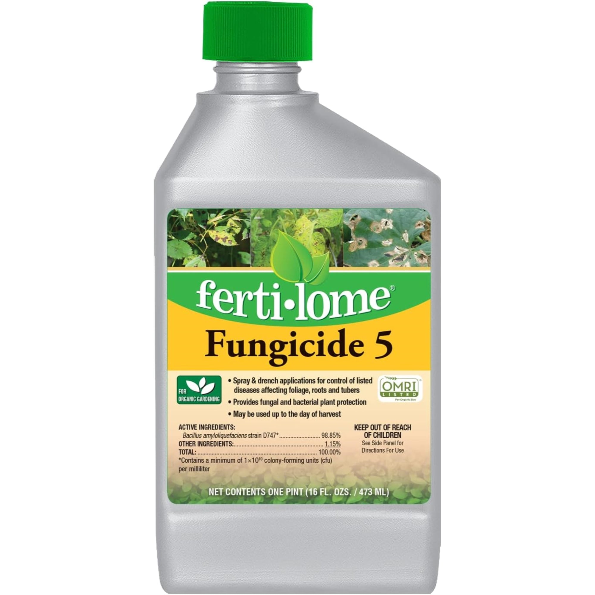 Fertilome Fungicide 5 Biofungicide/Bactericide Concentrate, 16 fl oz
