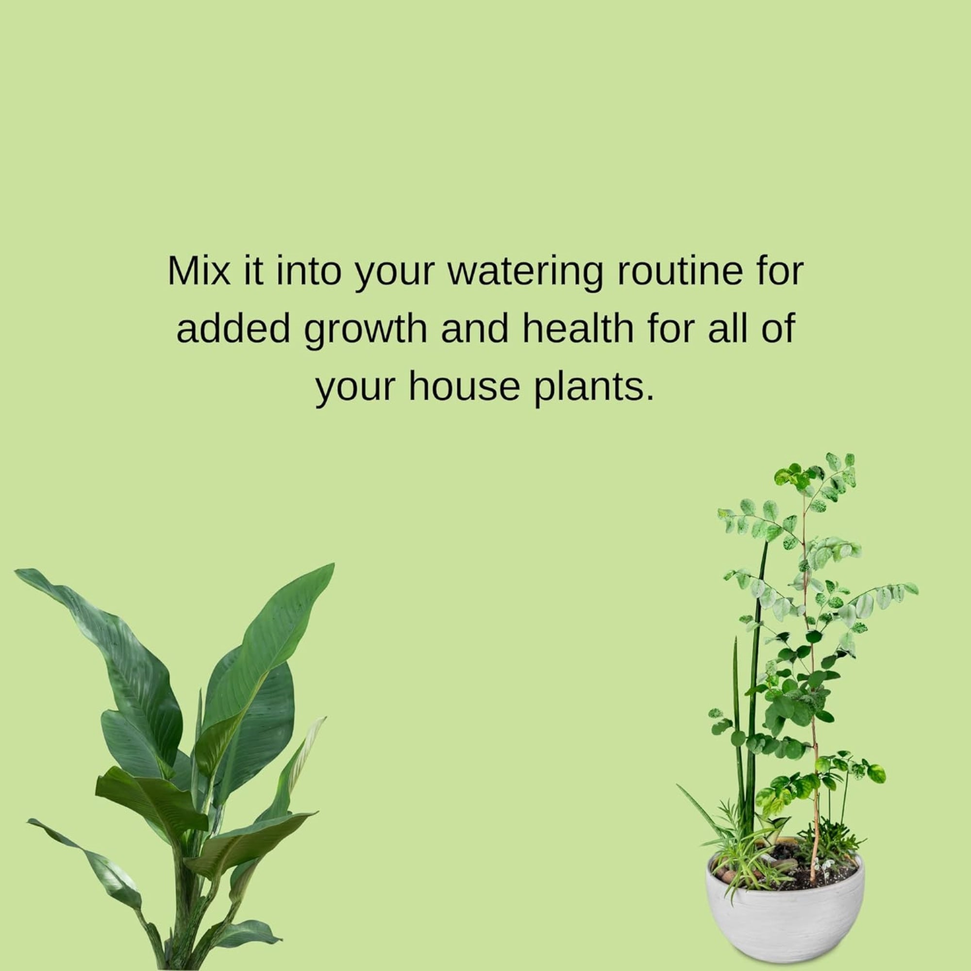 Fertilome Houseplant Hero 10-10-10 All Purpose Houseplant Food Concentrate, 8oz