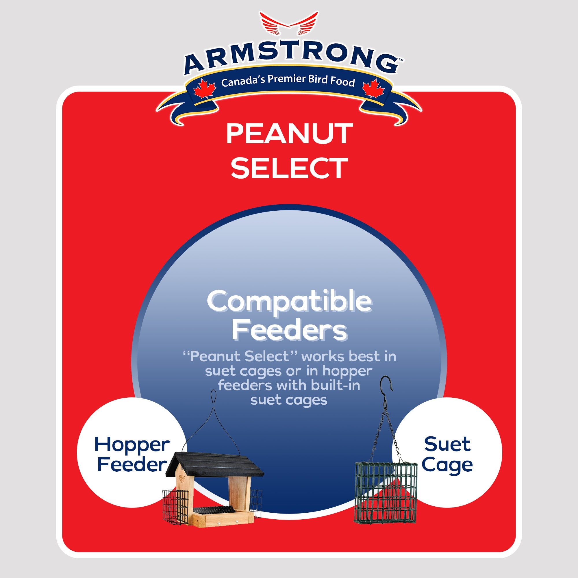 Armstrong Wild Bird Food Peanut Select Suet Cake, 33.9oz (Pack of 3)