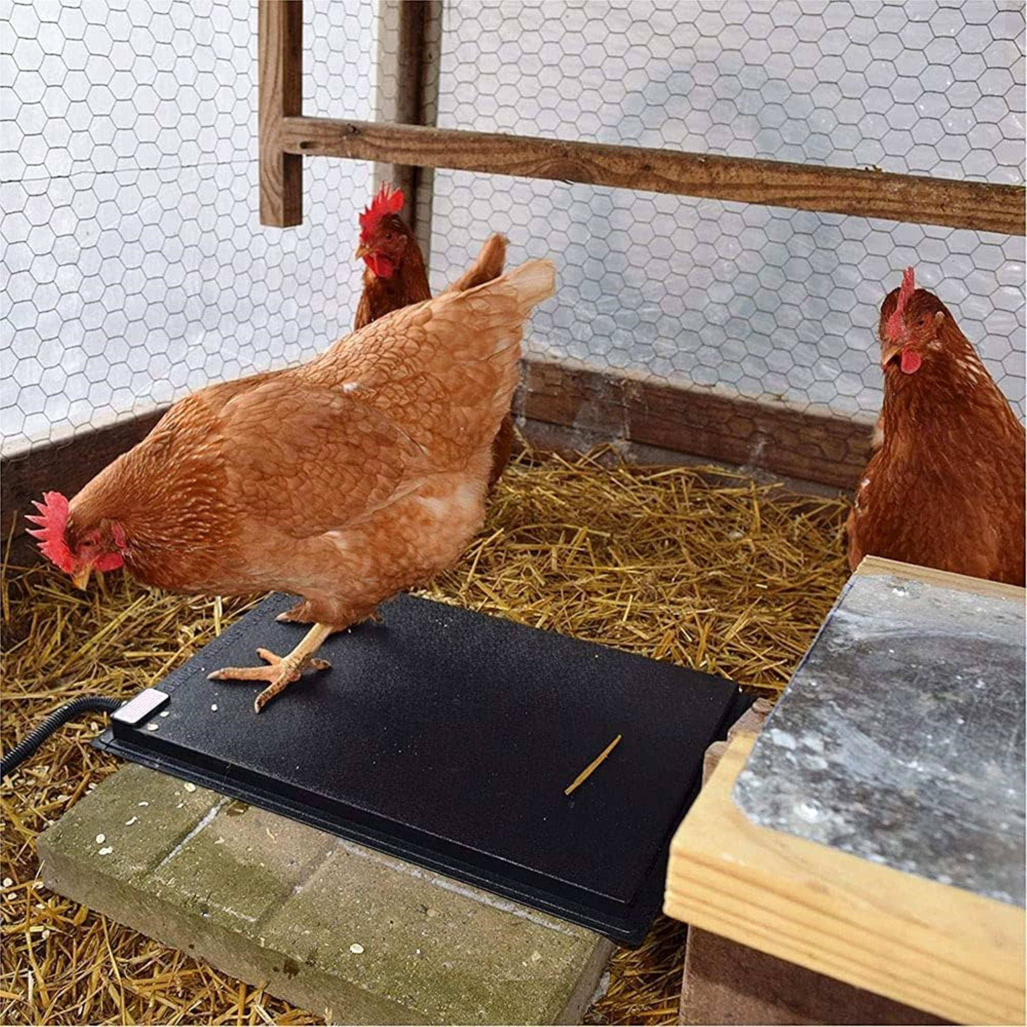 Farm Innovators 60W Heated Chicken Mat –Thermostatically Controlled Resting Pad for Coops, Pens & Nesting Areas, 19 x 13in