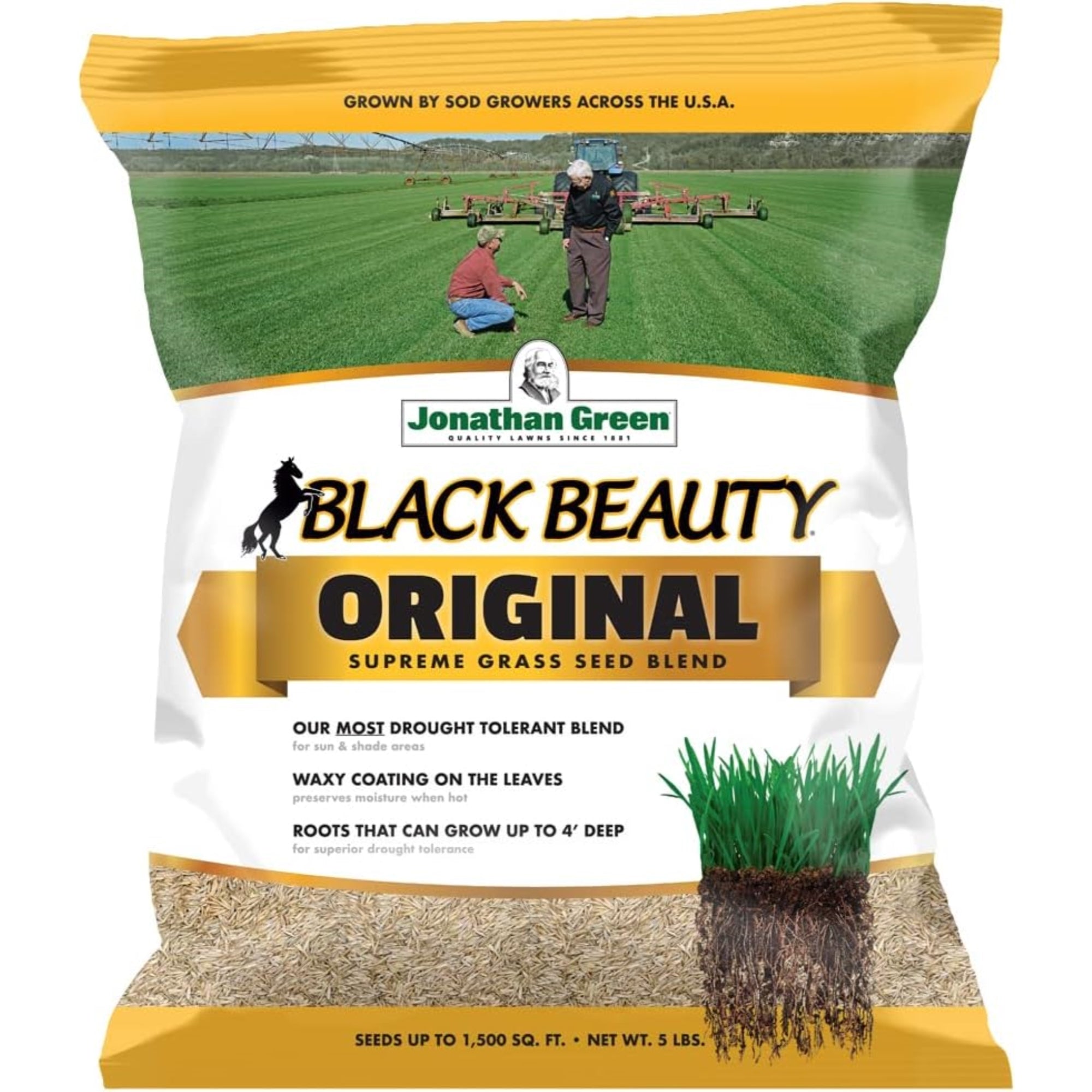 Jonathan Green Black Beauty Original Grass Seed