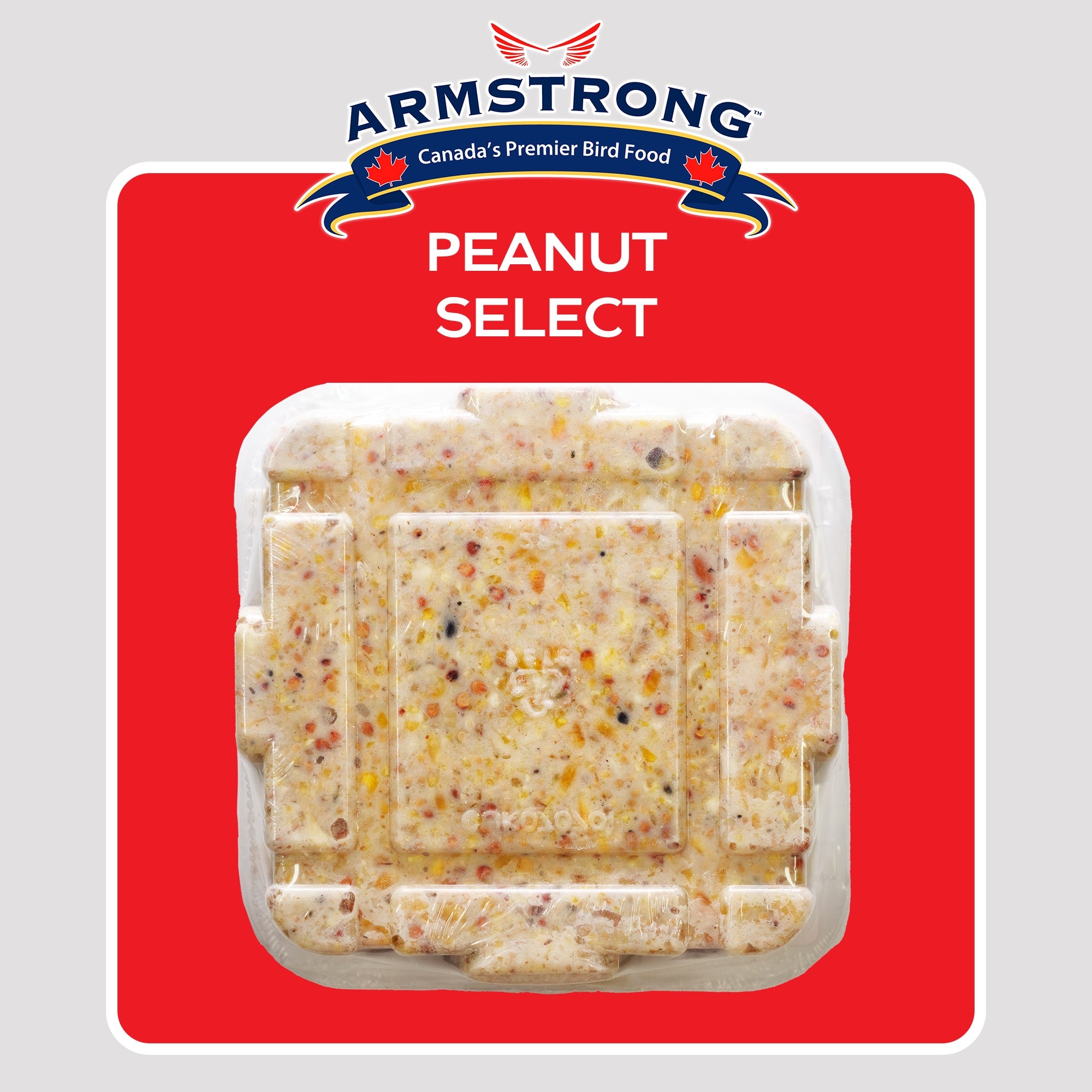Armstrong Wild Bird Food Peanut Select Suet Cake, 33.9oz (Pack of 3)