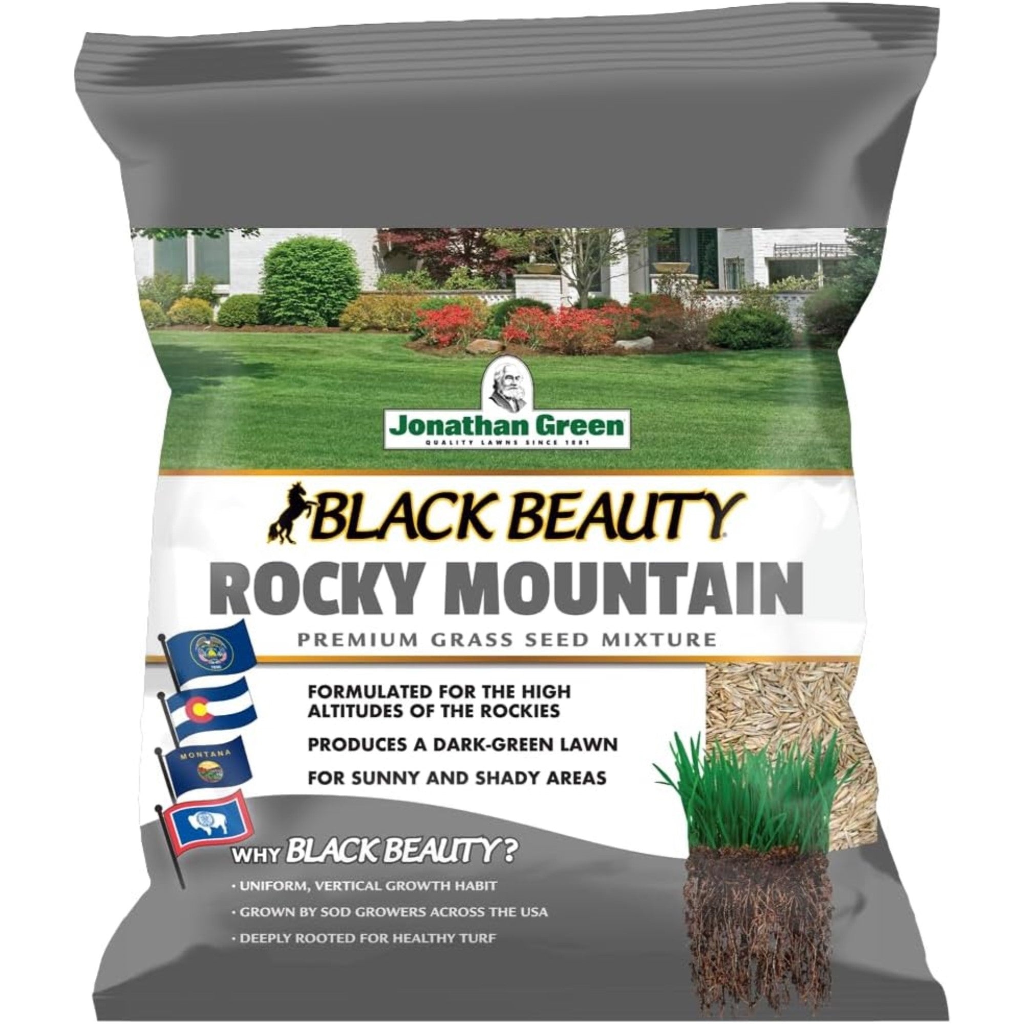 Black Beauty Rocky Mountain Colorado Lawn Grass Seed