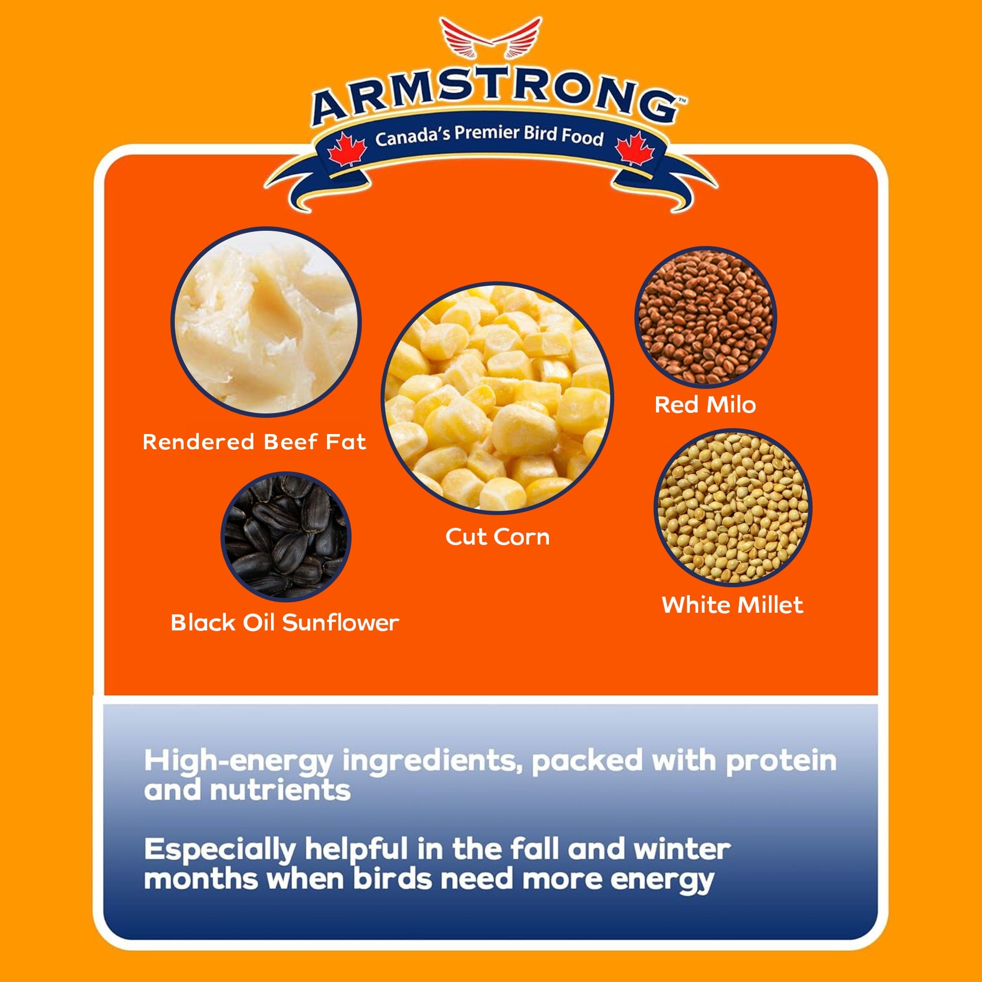 Armstrong Wild Bird Food Four Season Suet Cake, 11.3oz (Pack of 15)
