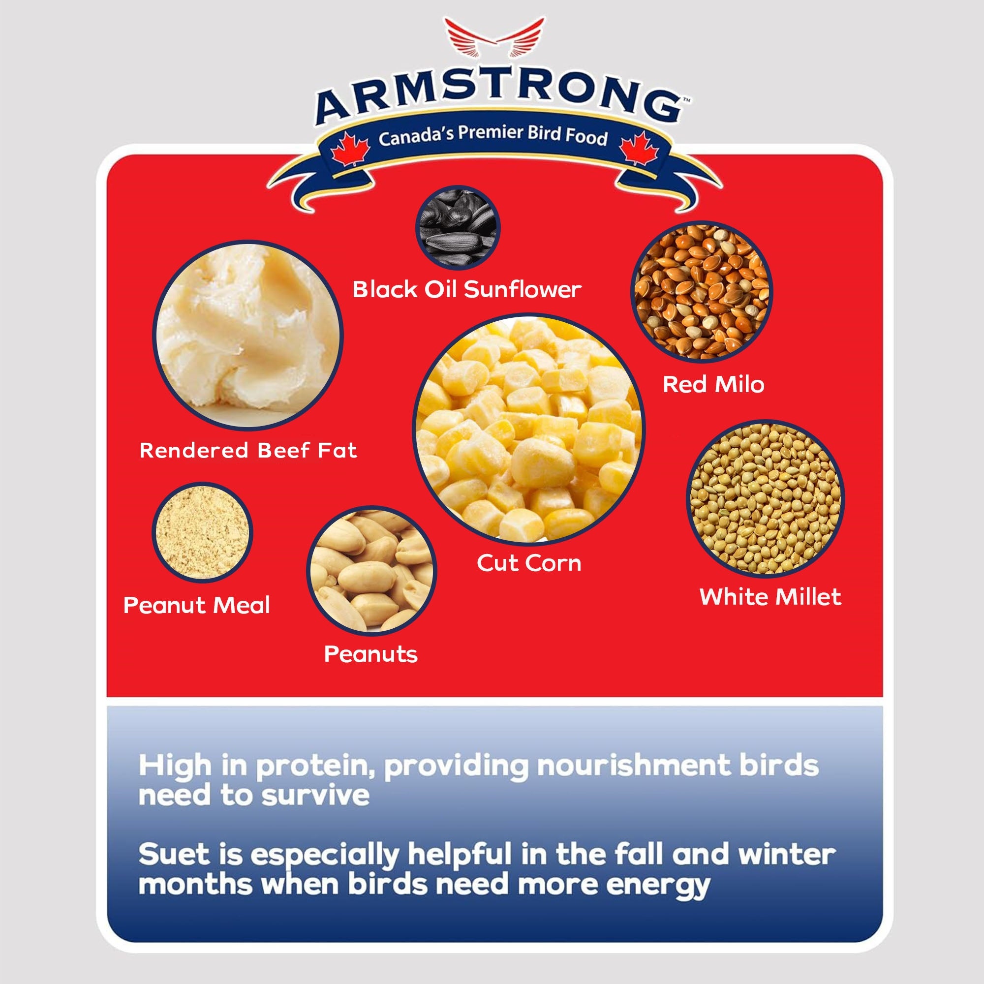 Armstrong Wild Bird Food Peanut Select Suet Cake, 33.9oz (Pack of 3)