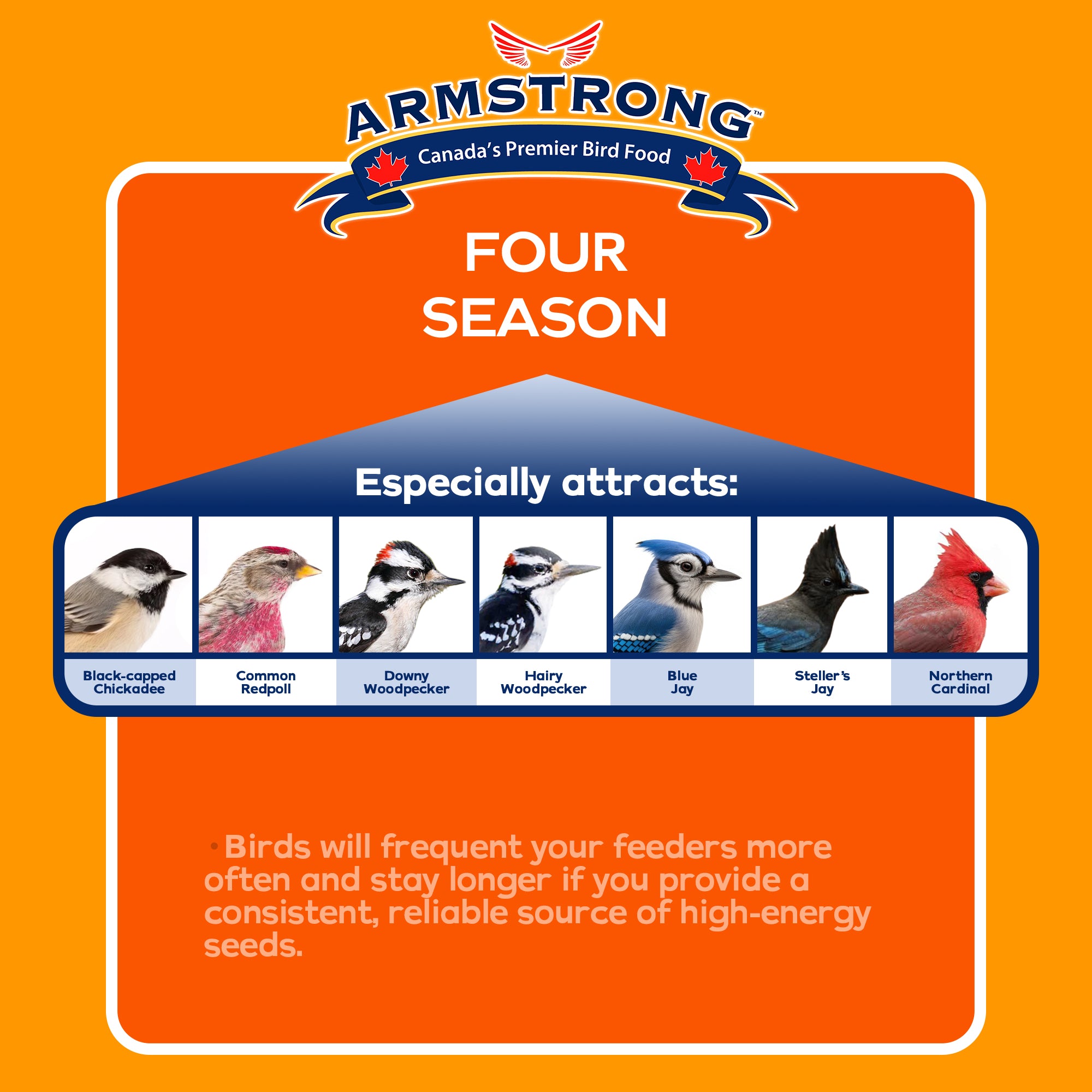 Armstrong Wild Bird Food Four Season Suet Cake, 11.3oz (Pack of 15)