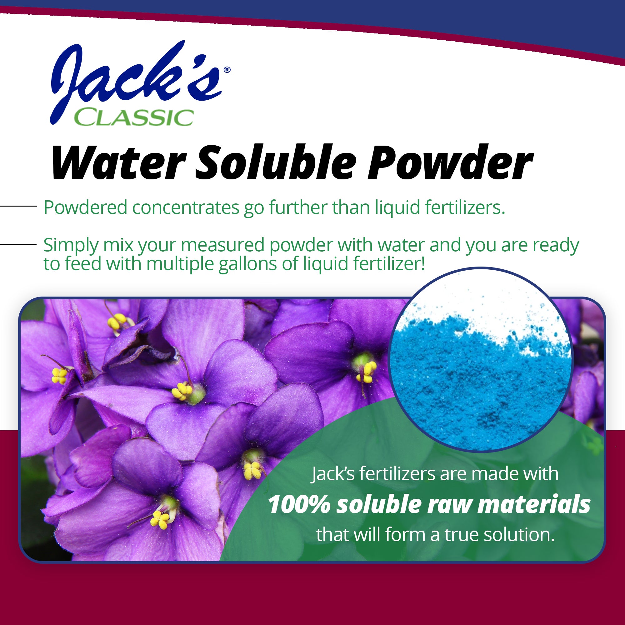 Jack's Classic 12-36-14 African Violet Water Soluble Plant Food, 8 oz
