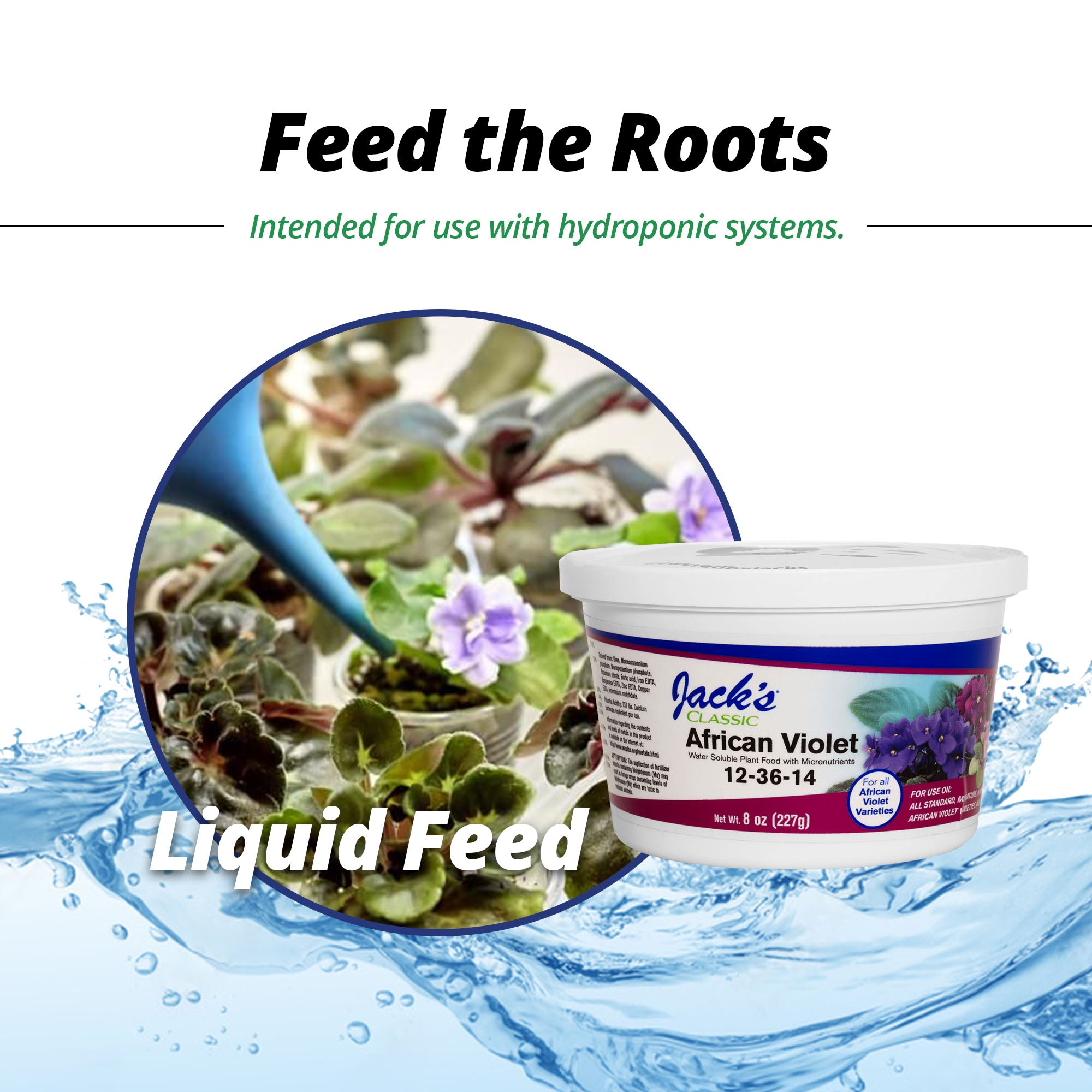 Jack's Classic 12-36-14 African Violet Water Soluble Plant Food, 8 oz