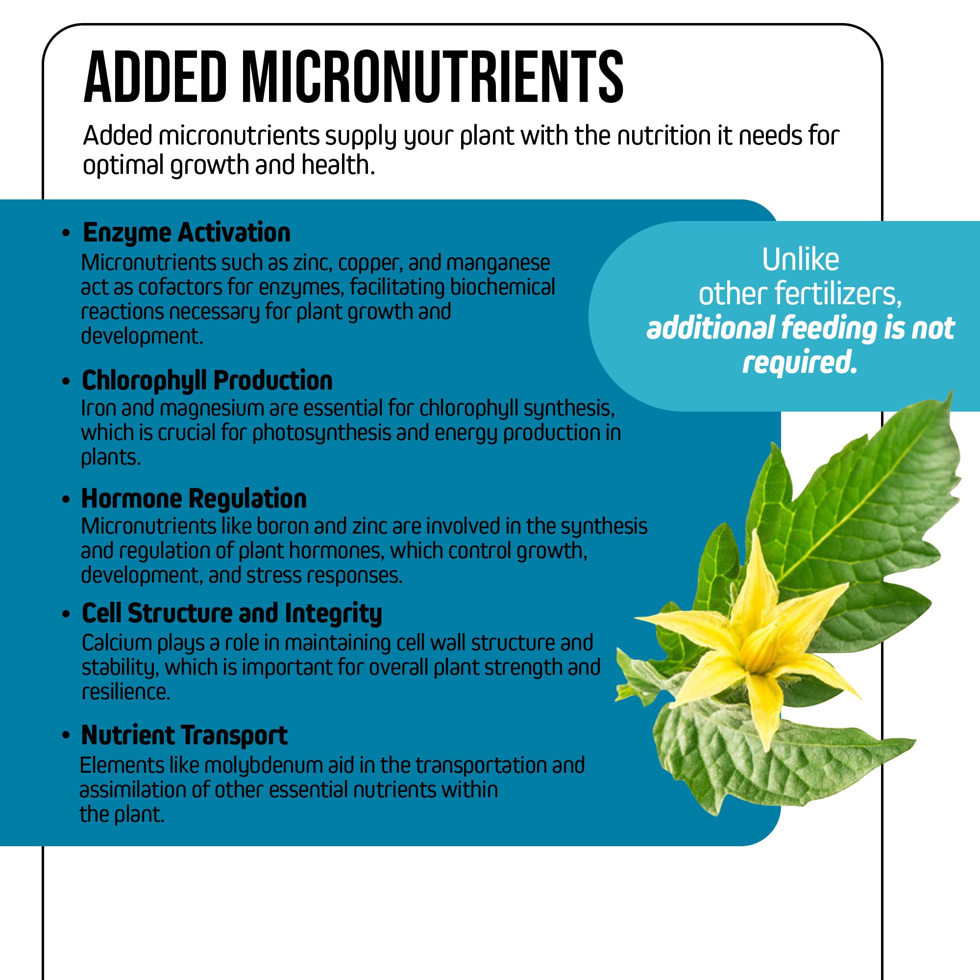 Jack's Nutrients Bloom Fertilizer 10-30-20, 2.2lbs