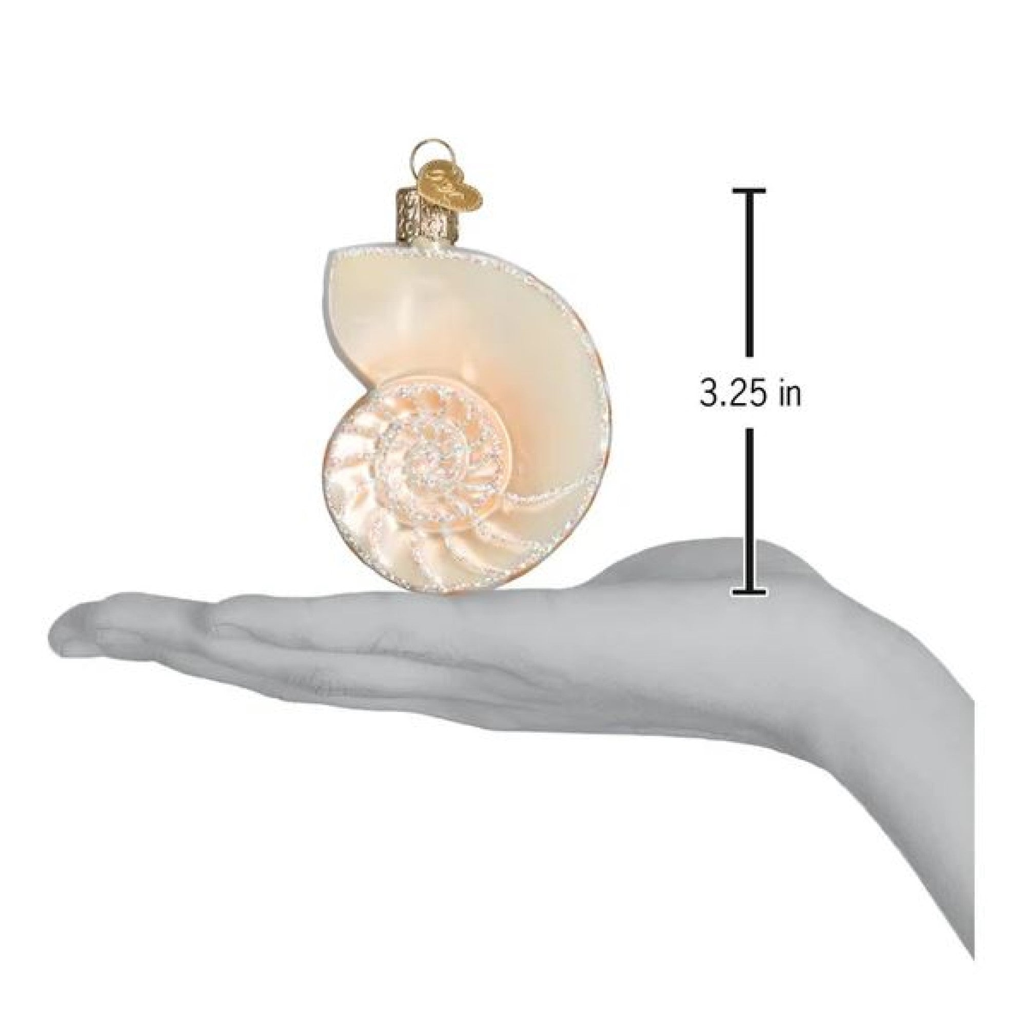 Old World Christmas Glass Blown Nautilus Shell Ornament