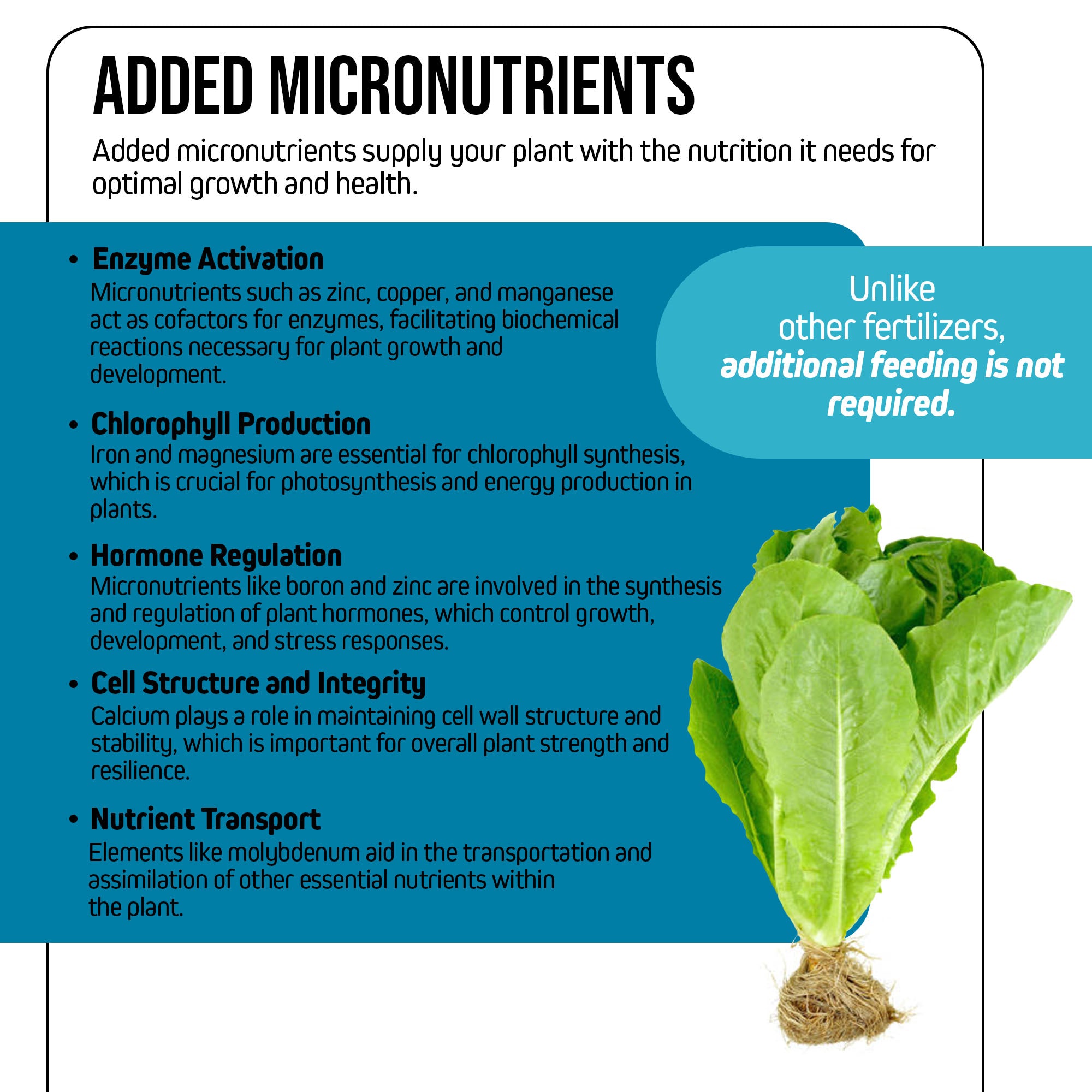 Jack's Nutrients 12-4-16 Reverse Osmosis Water-Soluble Fertilizer for Nutrient Uptake in Pure and Reverse Osmosis Waters in Continuous Liquid Feed Programs, 2.2lbs