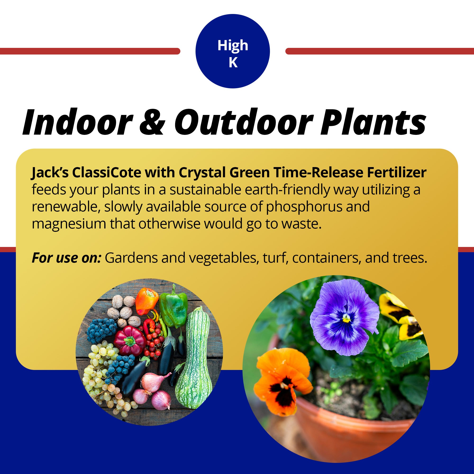 Jack's ClassiCote with Crystal Green, 15-8-23 Time-Release Fertilizer for Indoor and Outdoor Plants