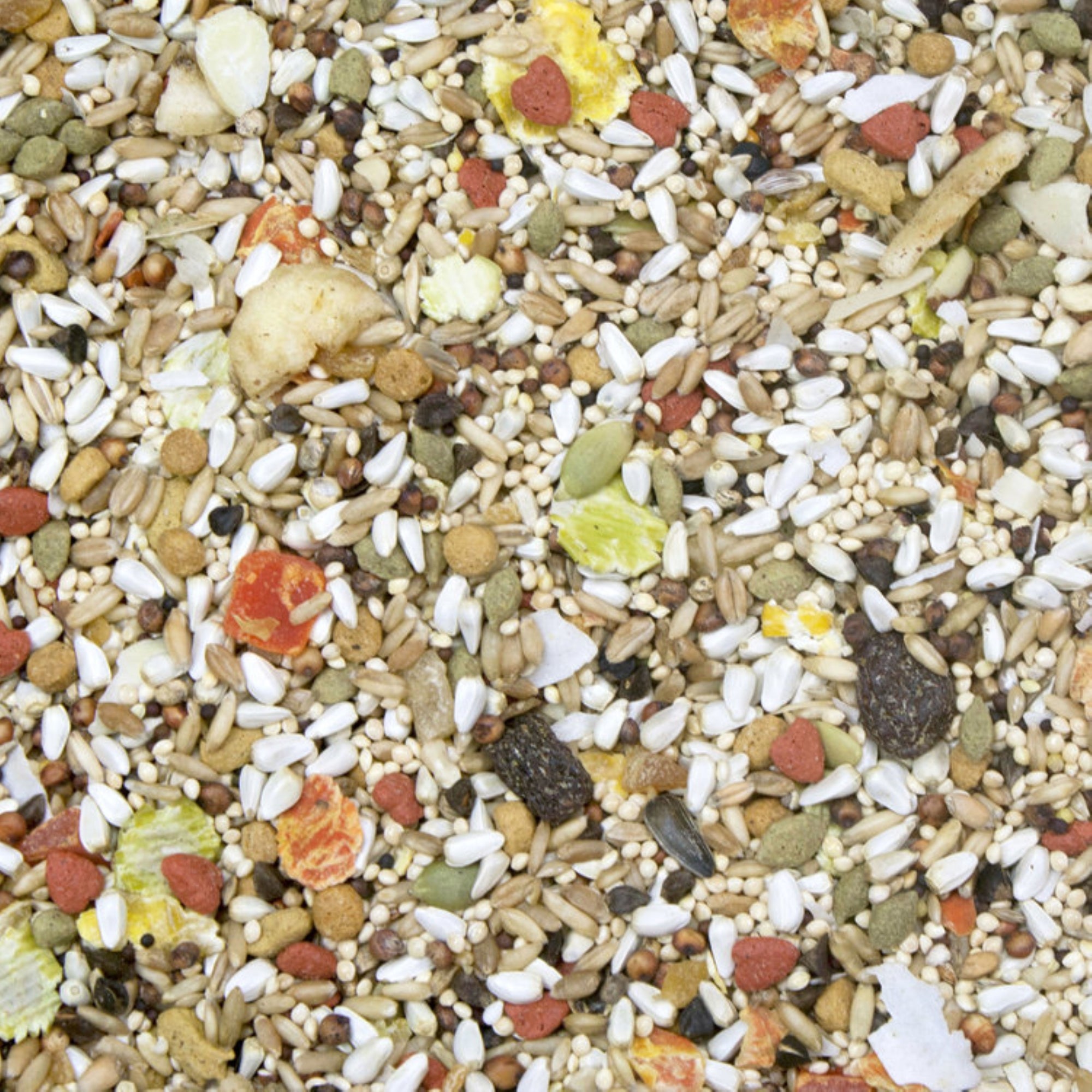Higgins Safflower Gold Natural Bird Food Mix for Conures & Cockatiels, 3lbs