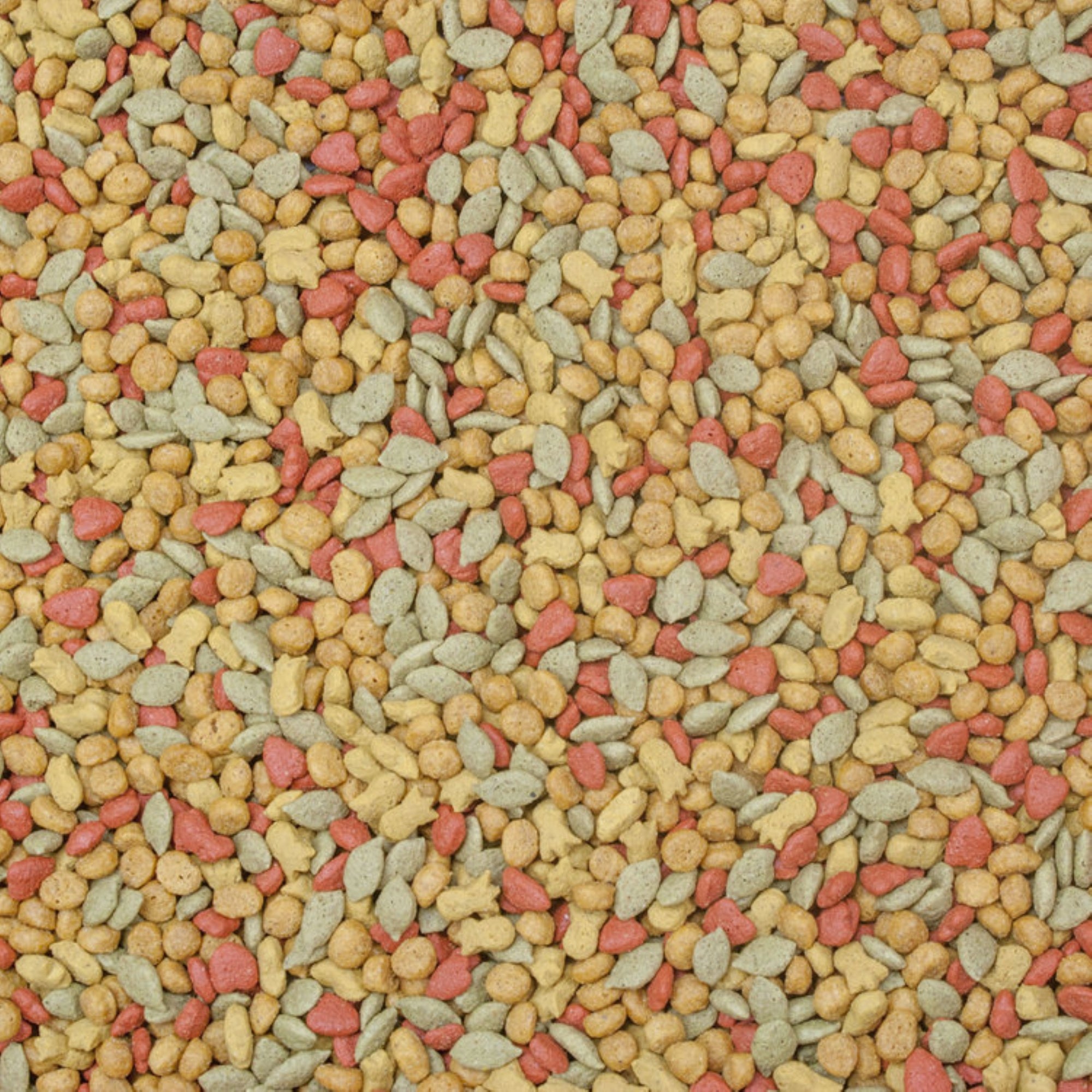 Higgins Intune Complete Diet Conure and Cockatiel Bird Food, 2lbs