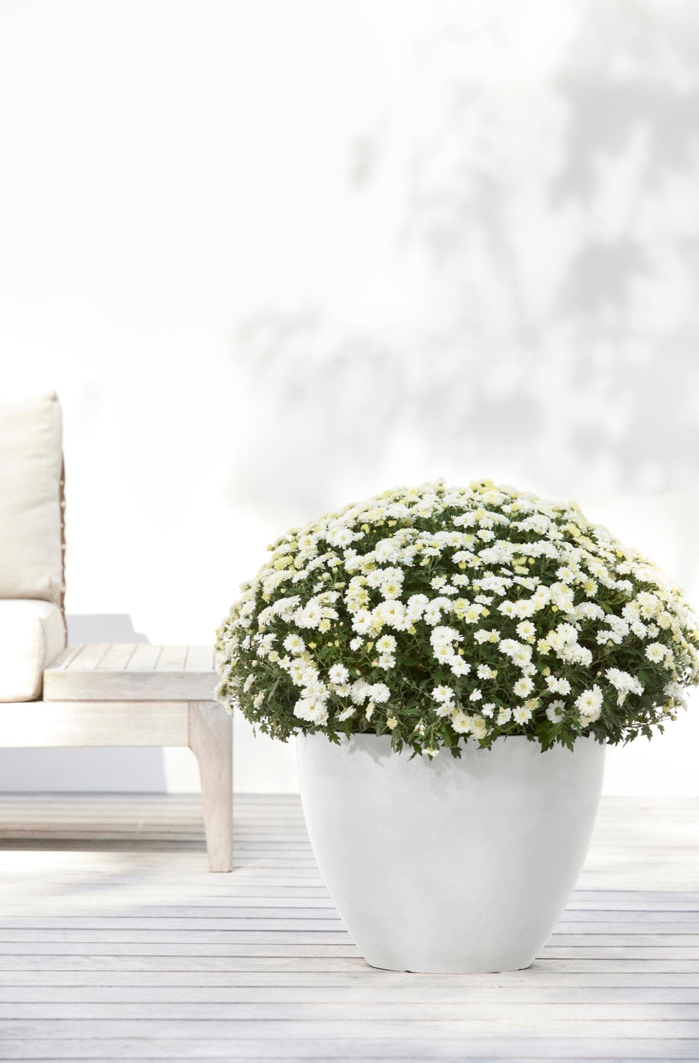 Ecopots Antwerp Durable Modern Round Indoor/Outdoor Recycled-Based Composite Flower Pot Planter, Pure White, 16"