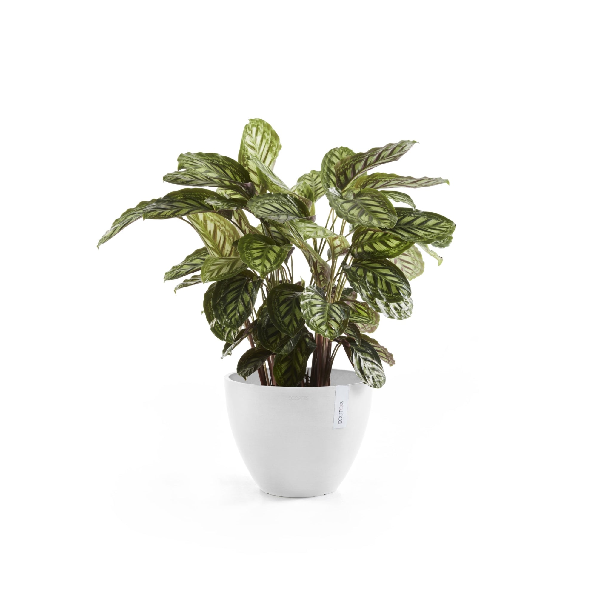 Ecopots Antwerp Durable Modern Round Indoor/Outdoor Recycled-Based Composite Flower Pot Planter, Pure White, 16"