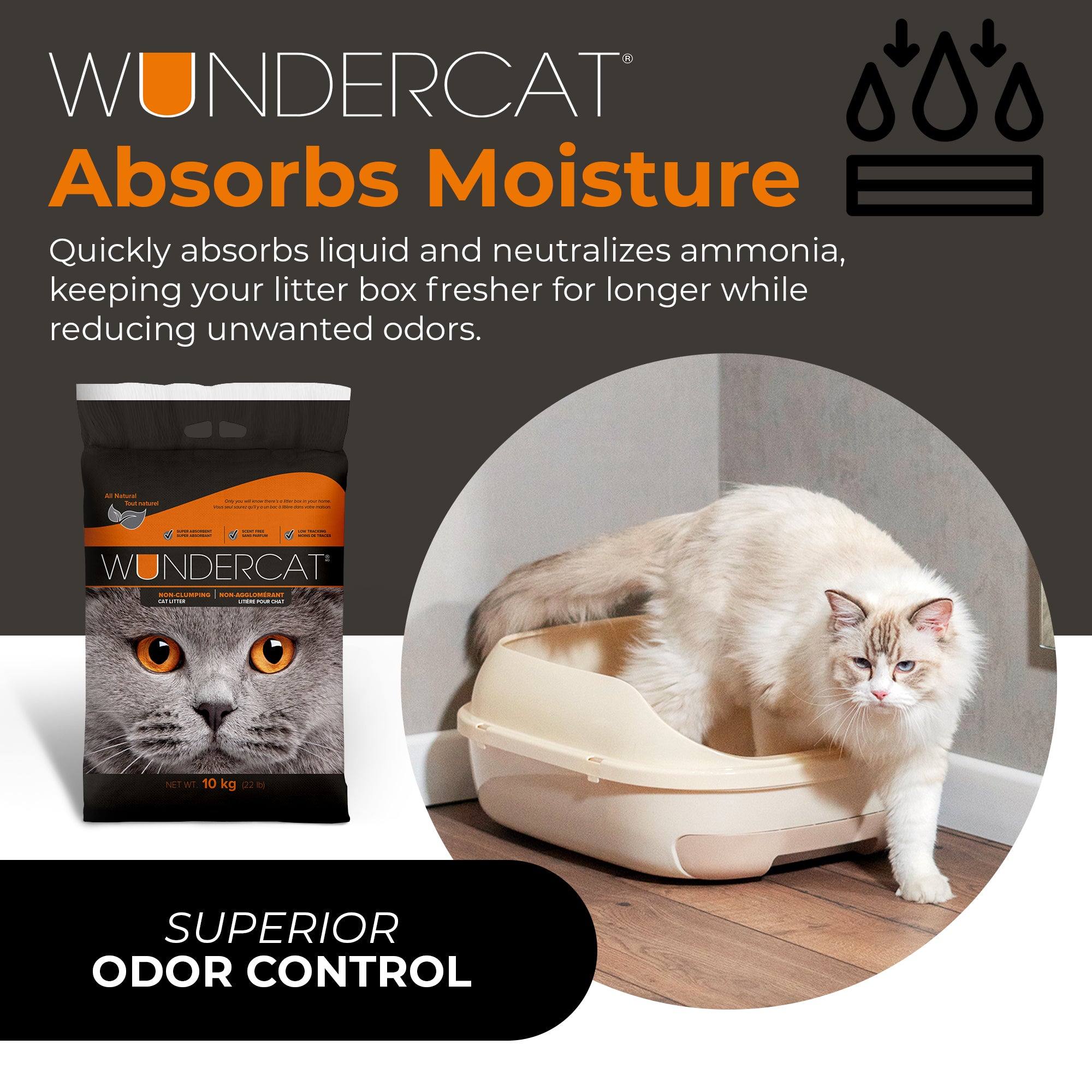 Progressive Planet Wundercat Non-Clumping Cat Litter