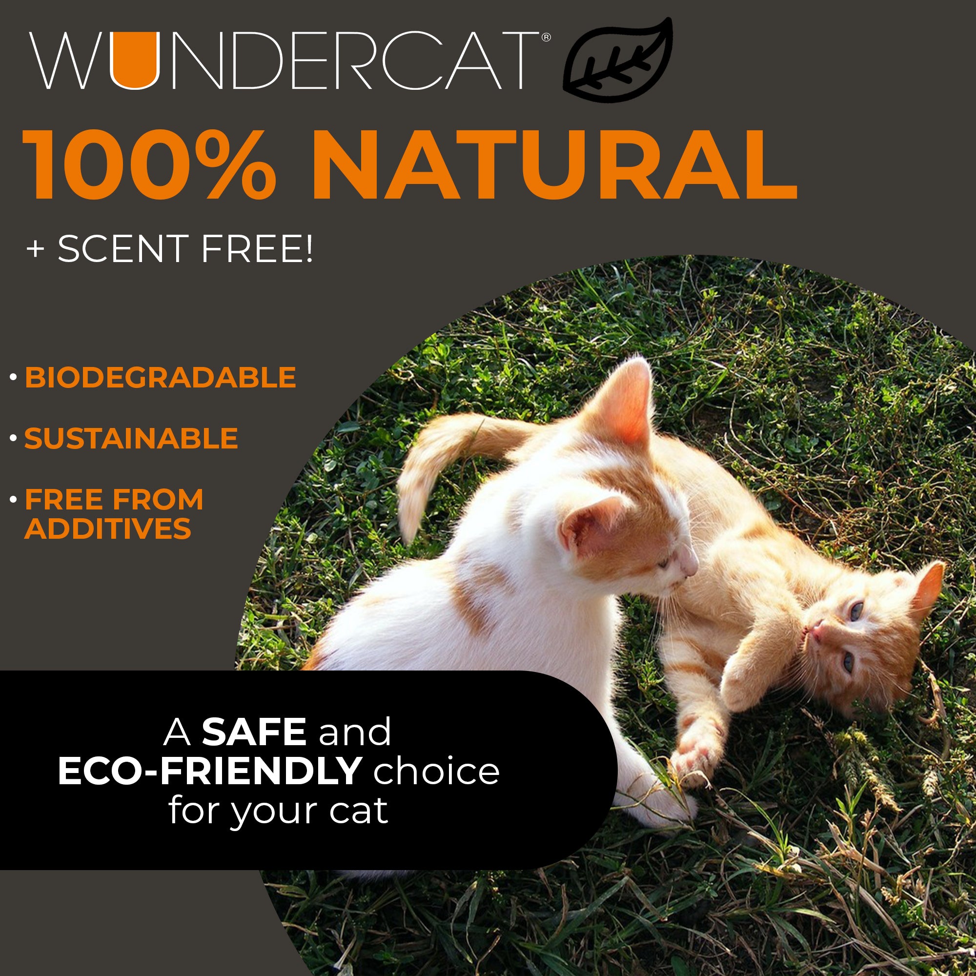 Progressive Planet Wundercat Non-Clumping Cat Litter