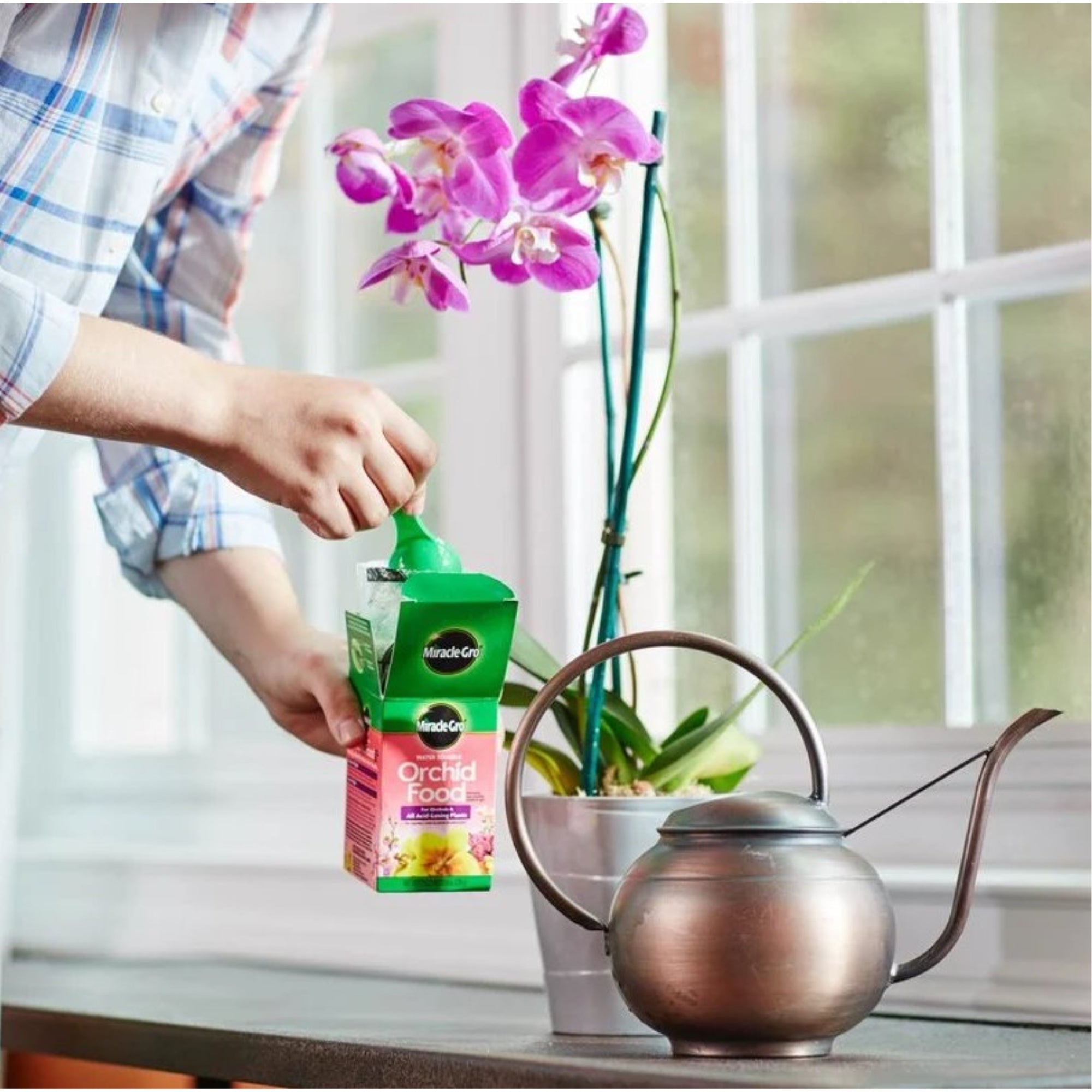 Miracle-Gro 30-10-10 Water Soluble Orchid Food, 8oz