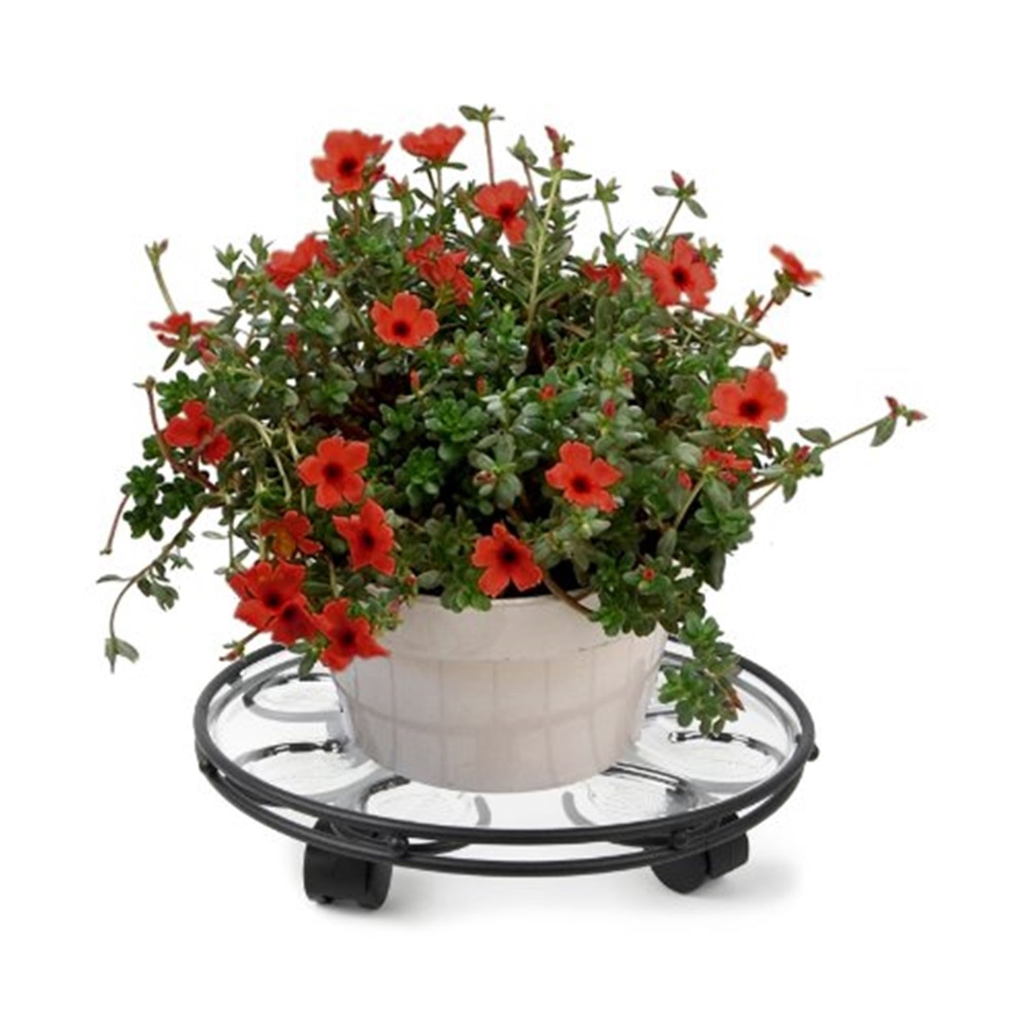 Plastec Steel Frame Caddy Deluxe with Casters, Black