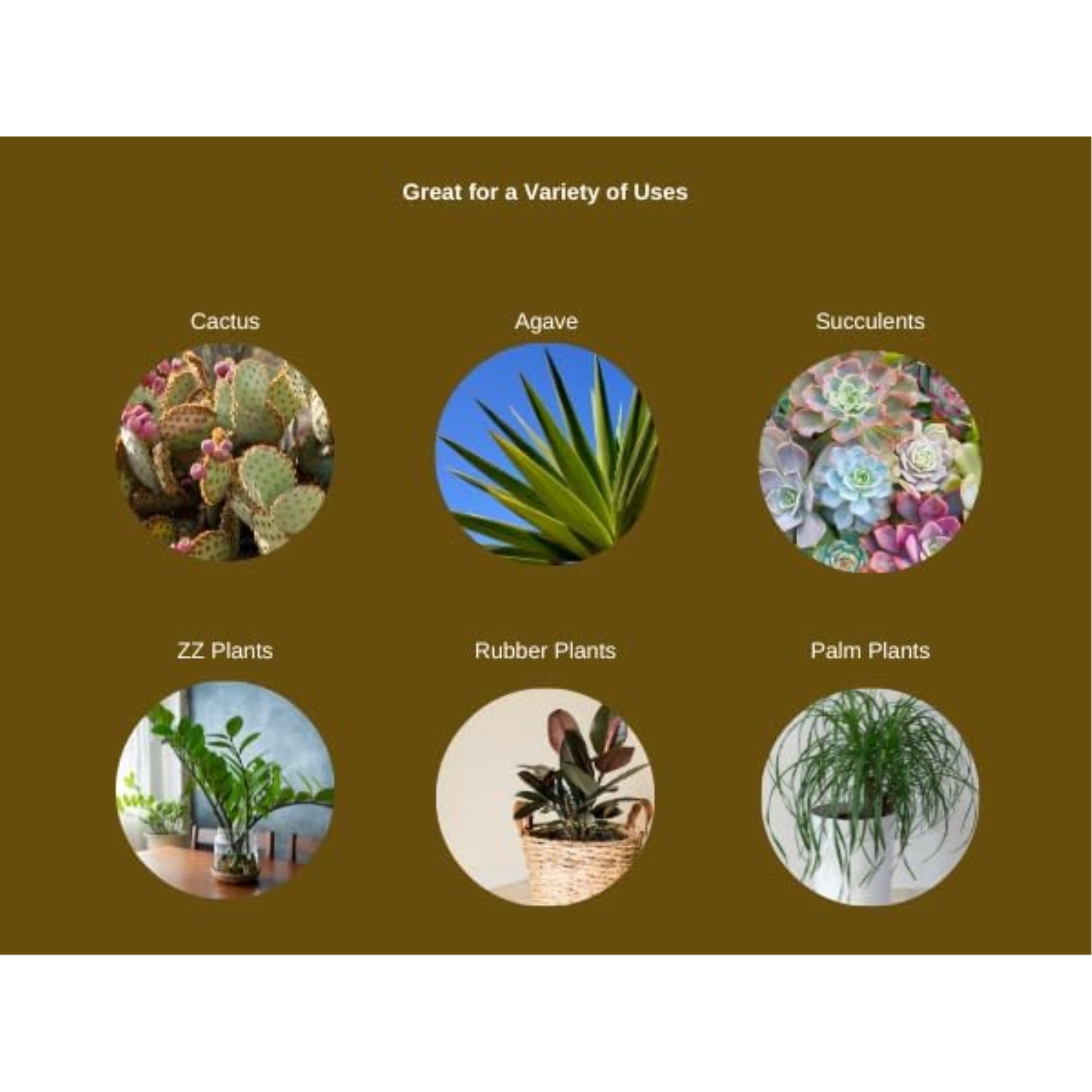 Fertilome Cactus Ready-To-Use Potting Mix