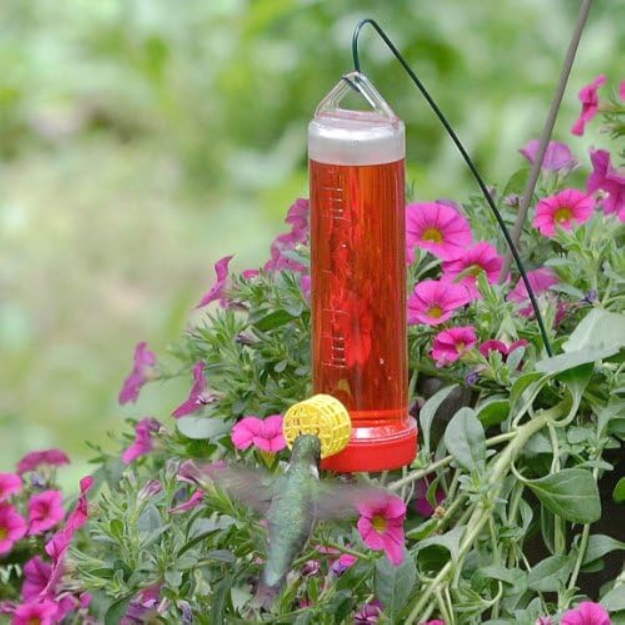 Woodstream Corp Hanging Basket Style Hummingbird Nectar Feeder, Red