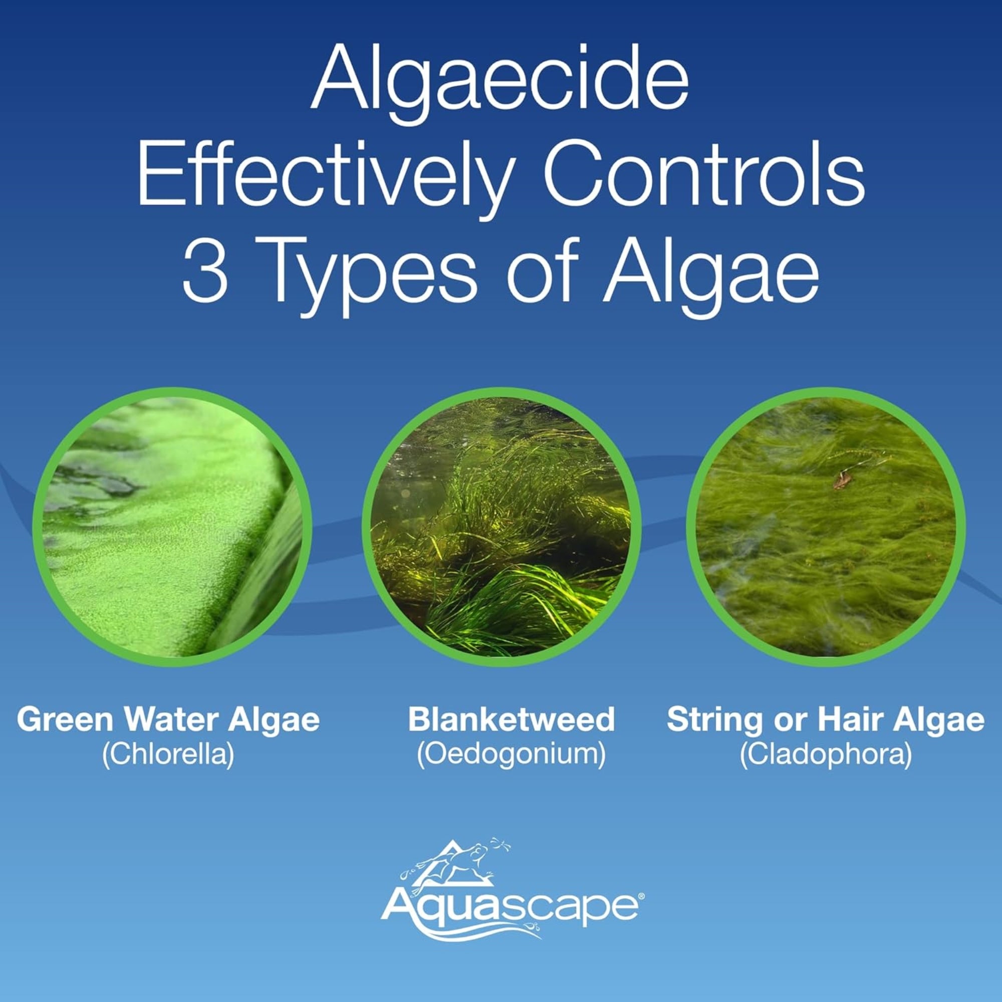 Aquascape Algaecide for Ponds, Waterfalls, and Water Features, 16 oz