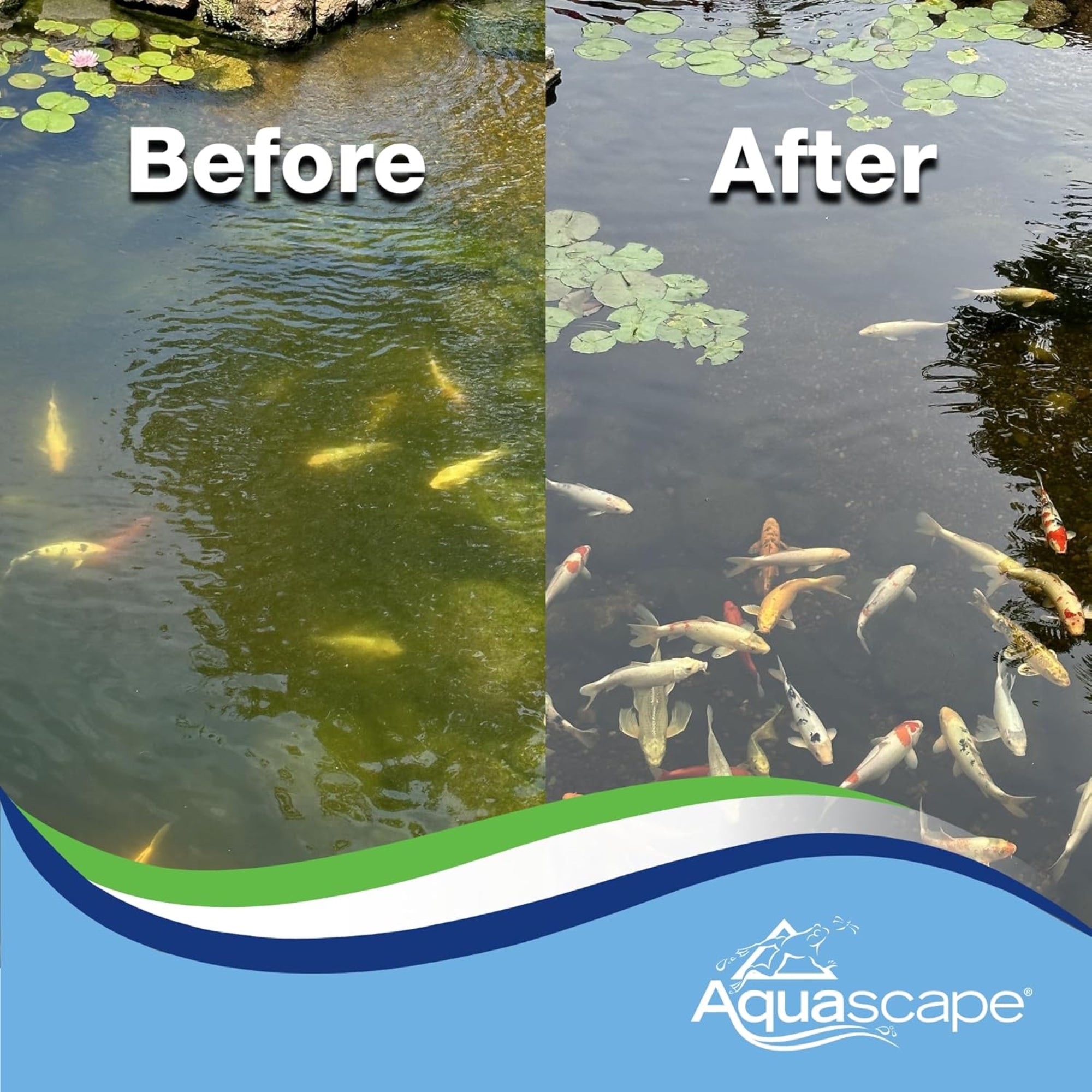 Aquascape Algaecide for Ponds, Waterfalls, and Water Features, 16 oz