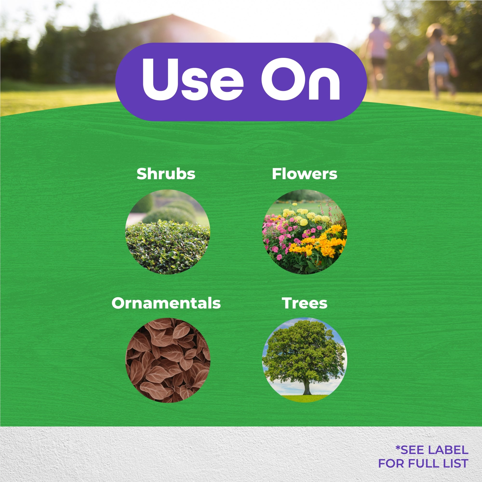 Bonide Infuse Lawn & Landscape Granular Systemic Disease Control & Fungicide, 7.5lb