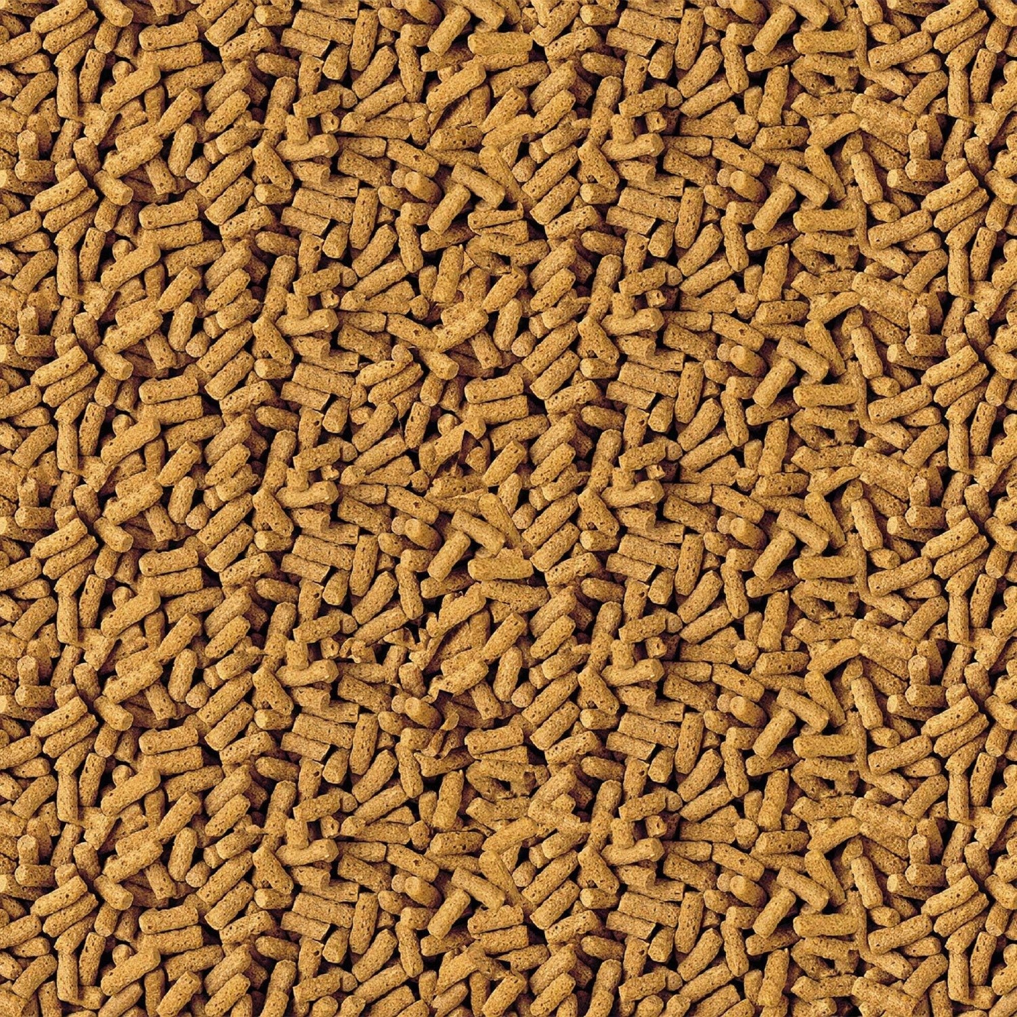 TetraPond Pond Sticks Fish Food for Koi & Goldfish, 2.53lbs