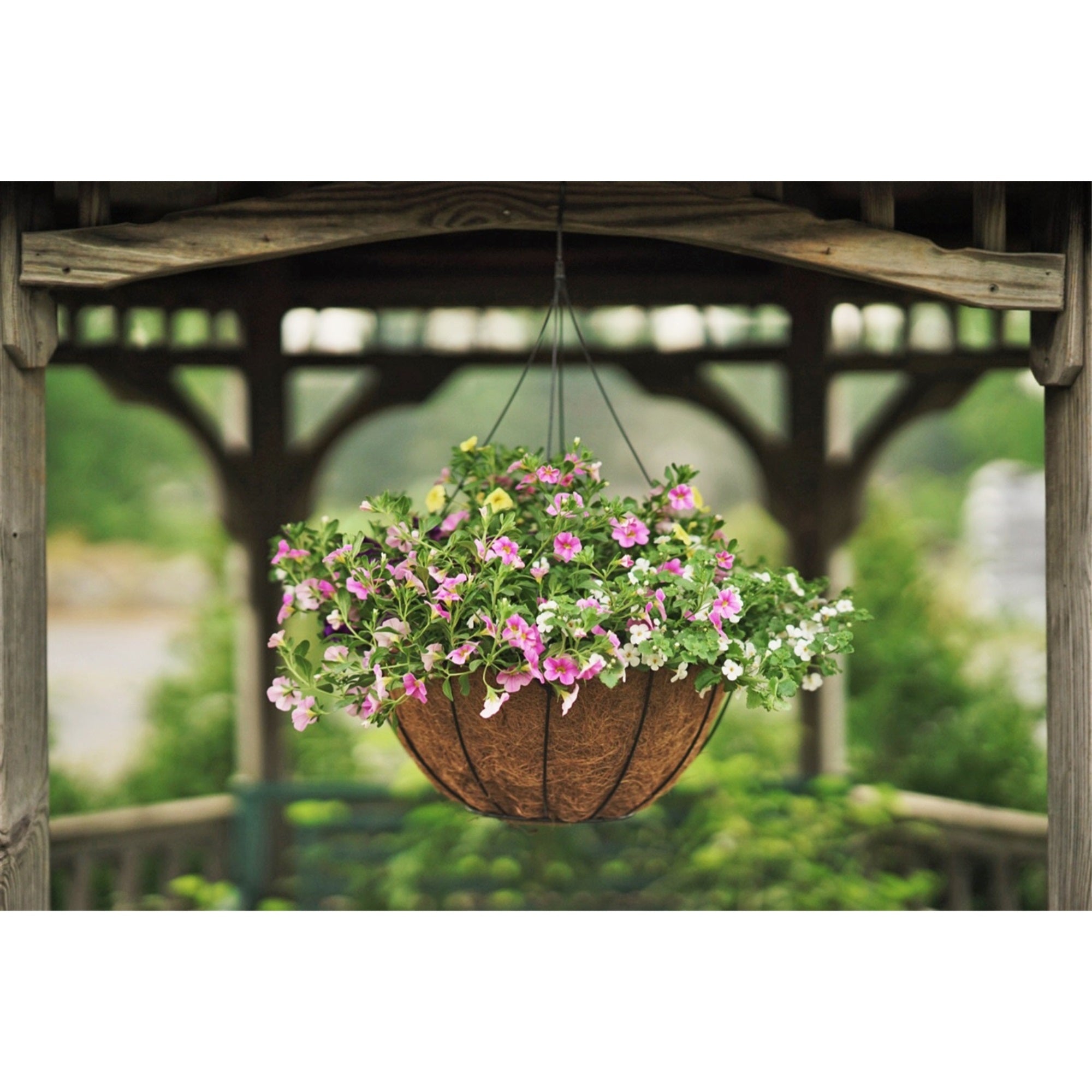 Pride Garden Products Grower Hanging Baskets with AquaSav Smart Coco Liner