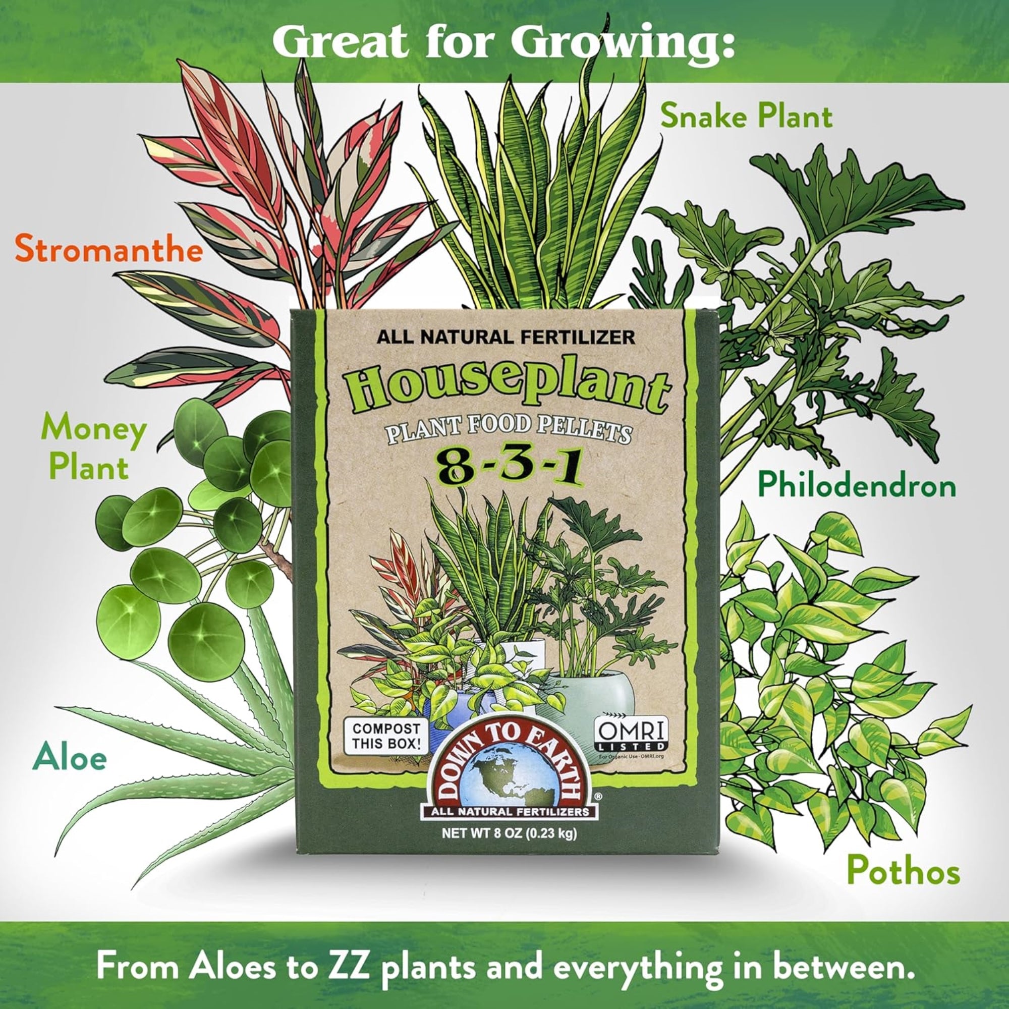 Down to Earth Houseplant 8-3-1 All Natural Plant Food Pellet Fertilizer, 8oz