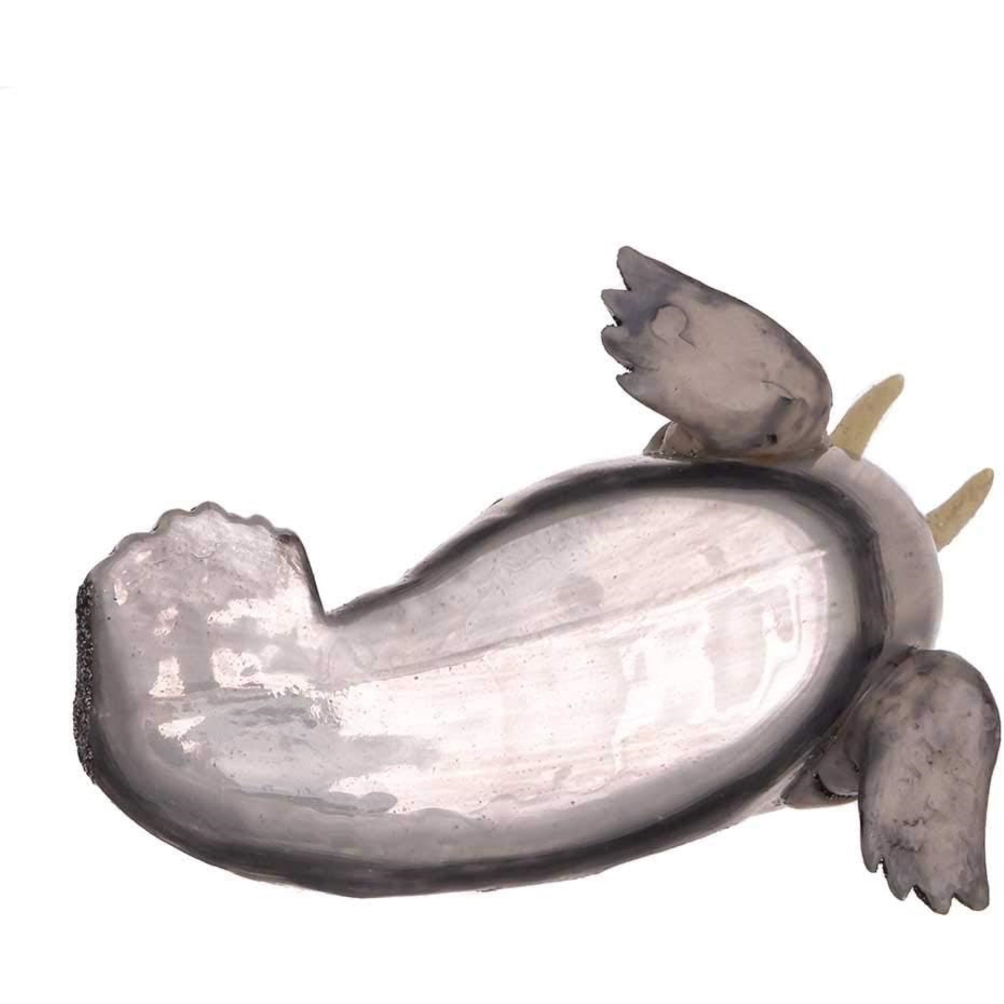 Kurt Adler Noble Gems Glass Ornament for Christmas Tree, Walrus with Hat, 4.5"