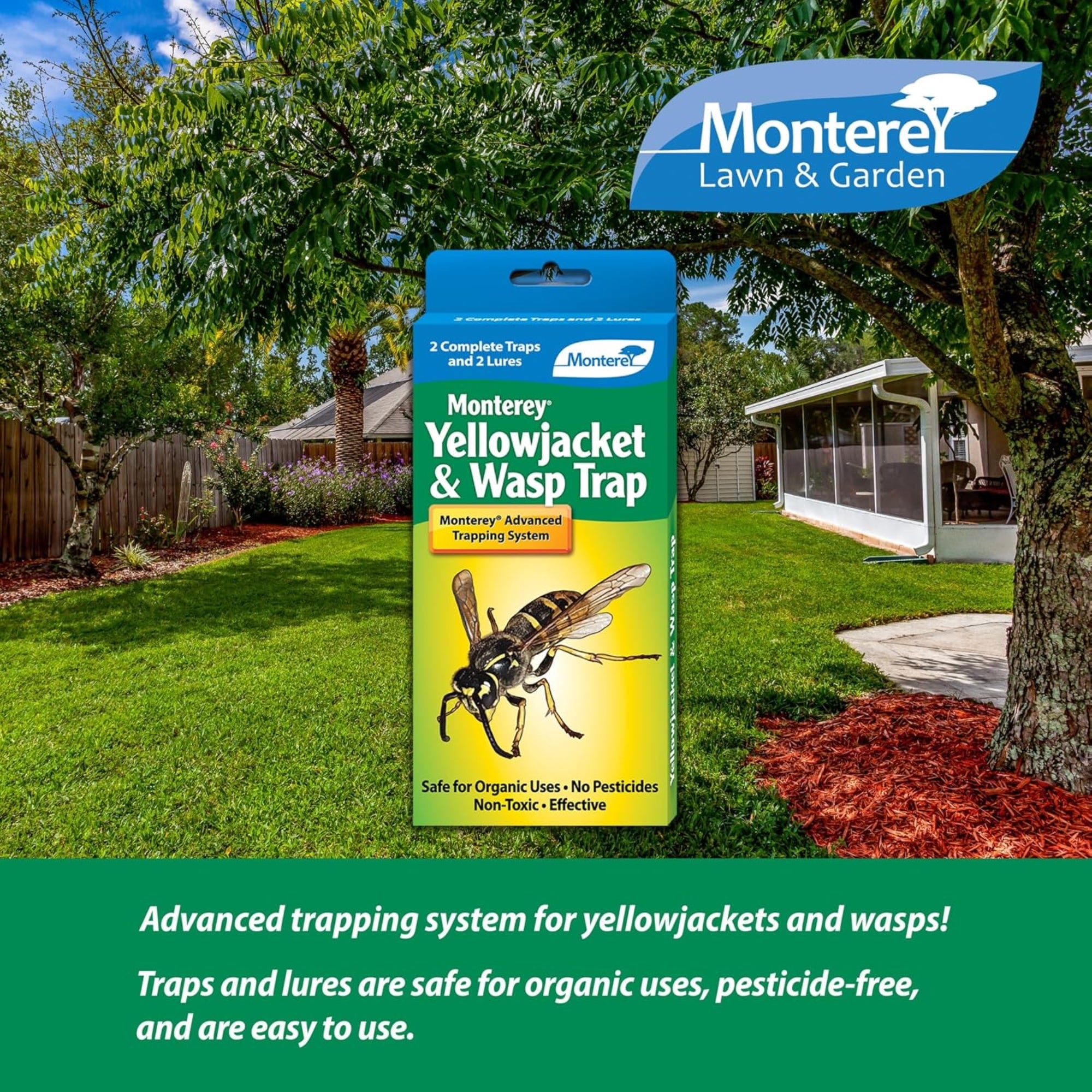 Monterey Disposable, Non-Toxic Yellowjacket & Wasp Traps, 2 Pack